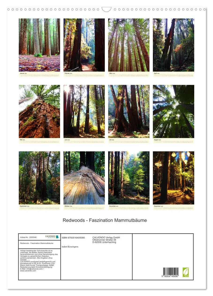 Bild: 9783516405095 | Redwoods - Faszination Mammutbäume (Wandkalender 2026 DIN A2 hoch),...