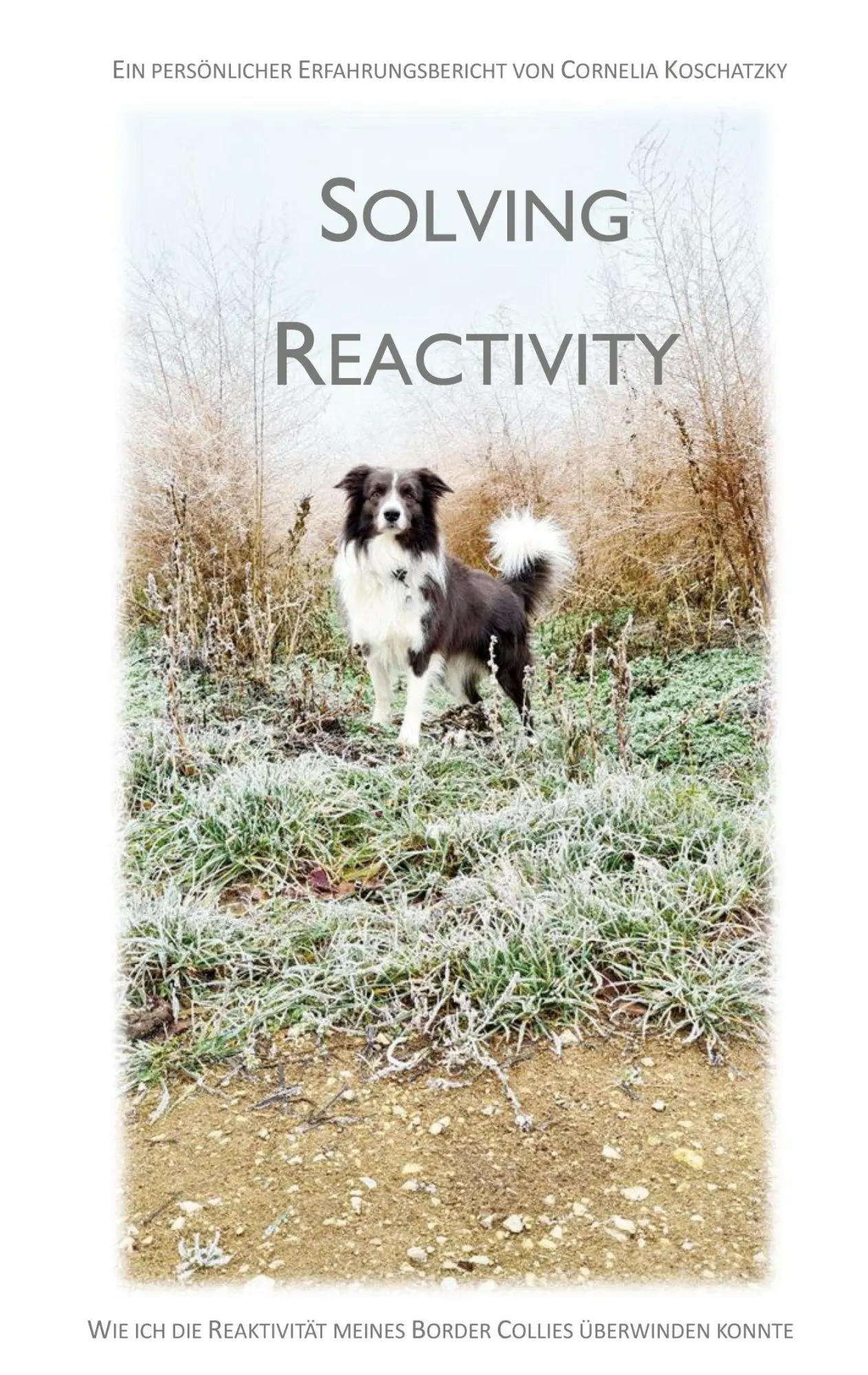 Cover: 9783696385095 | Solving Reactivity | Cornelia Koschatzky | Taschenbuch | 100 S. | 2026