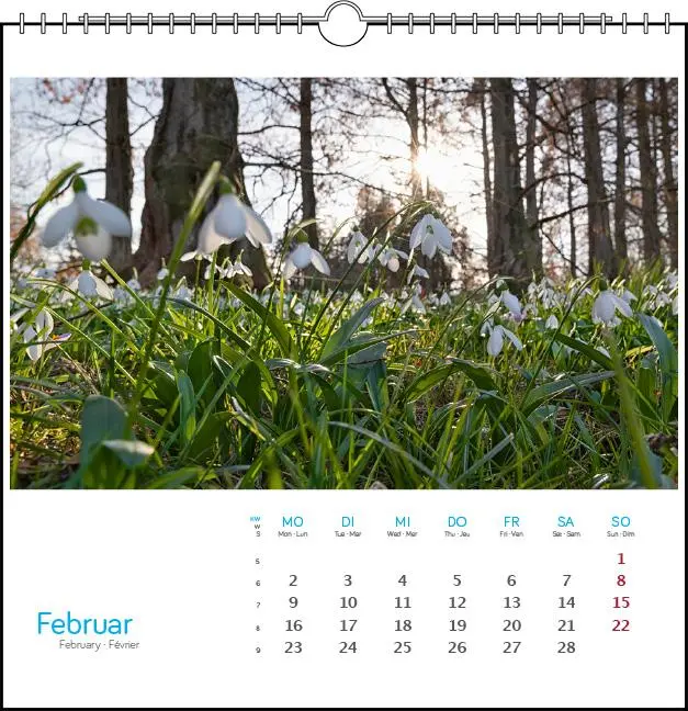 Bild: 9783861925095 | Bodensee 2026 | Postkarten-Tischkalender | Holger Spiering | Kalender