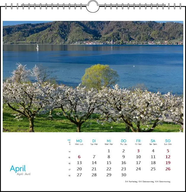 Bild: 9783861925095 | Bodensee 2026 | Postkarten-Tischkalender | Holger Spiering | Kalender
