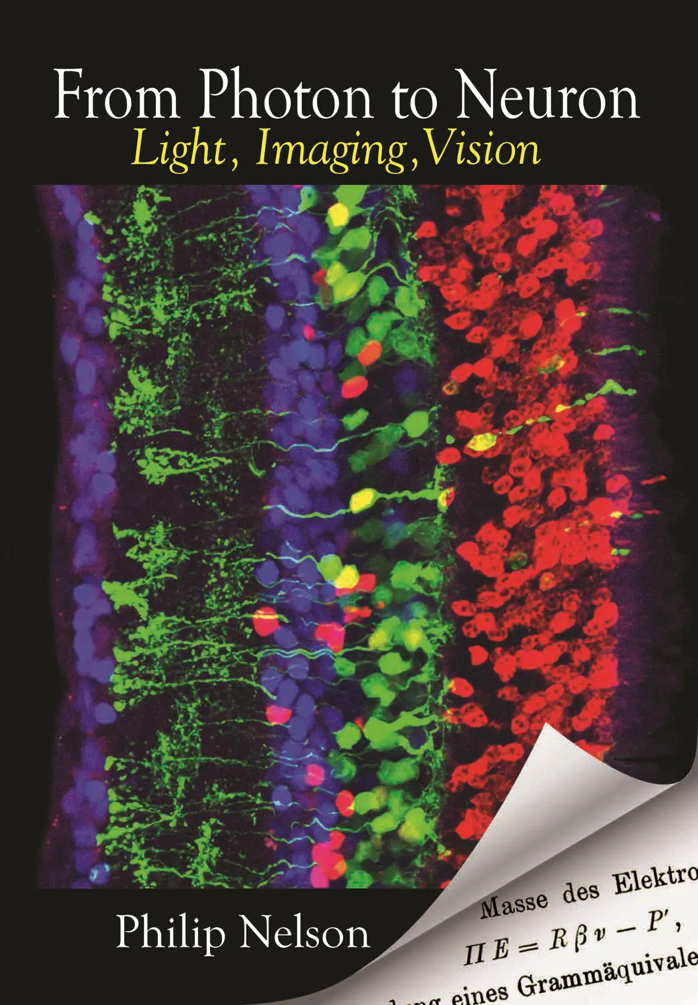 Cover: 9780691175195 | From Photon to Neuron | Light, Imaging, Vision | Philip Nelson | Buch