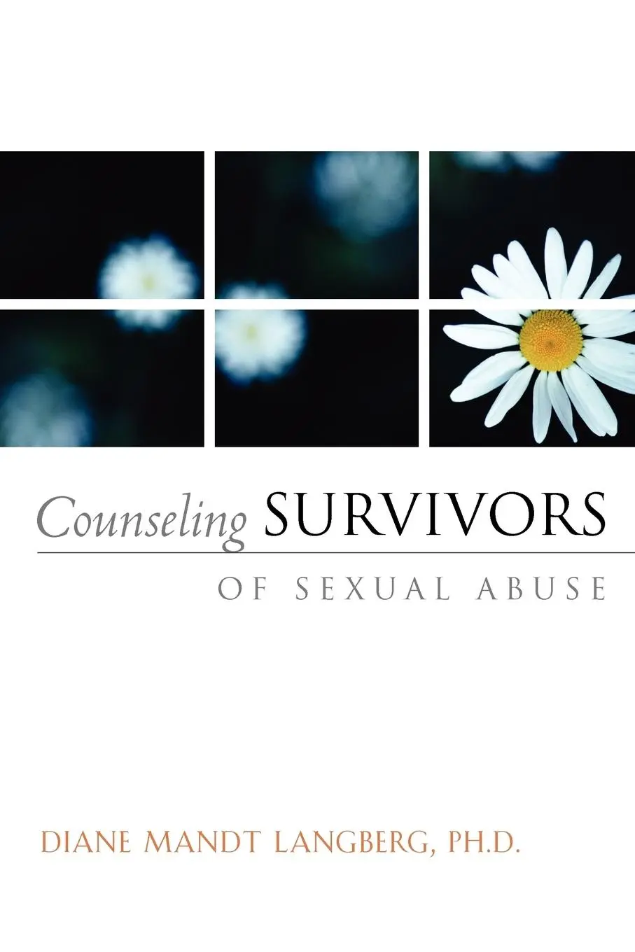 Cover: 9781591605195 | Counseling Survivors of Sexual Abuse | Diane Langberg | Taschenbuch