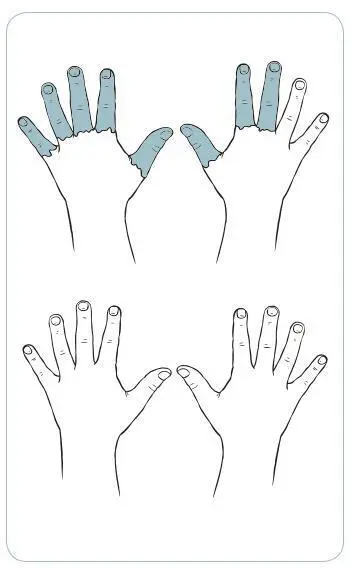 Bild: 9783039765195 | Misthaufen | Finger- und Zahlenkarten Spiele im 20er-Raum | Beriger