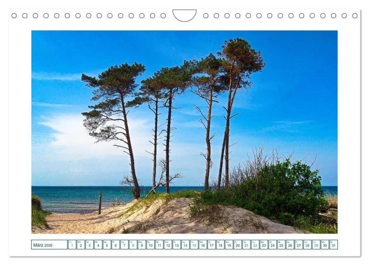 Bild: 9783457305195 | Der Weststrand am Darß (Wandkalender 2026 DIN A4 quer), CALVENDO...