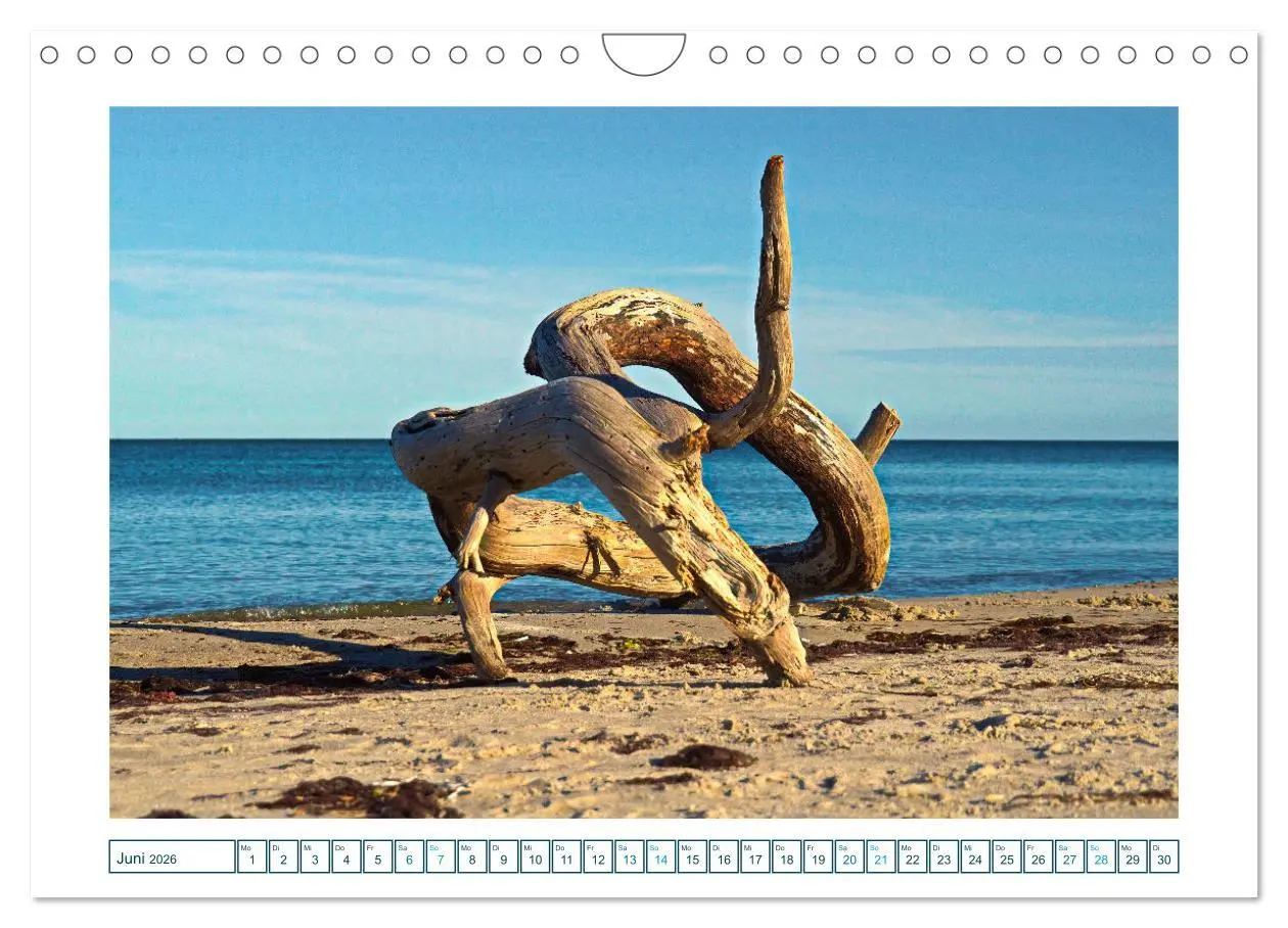 Bild: 9783457305195 | Der Weststrand am Darß (Wandkalender 2026 DIN A4 quer), CALVENDO...