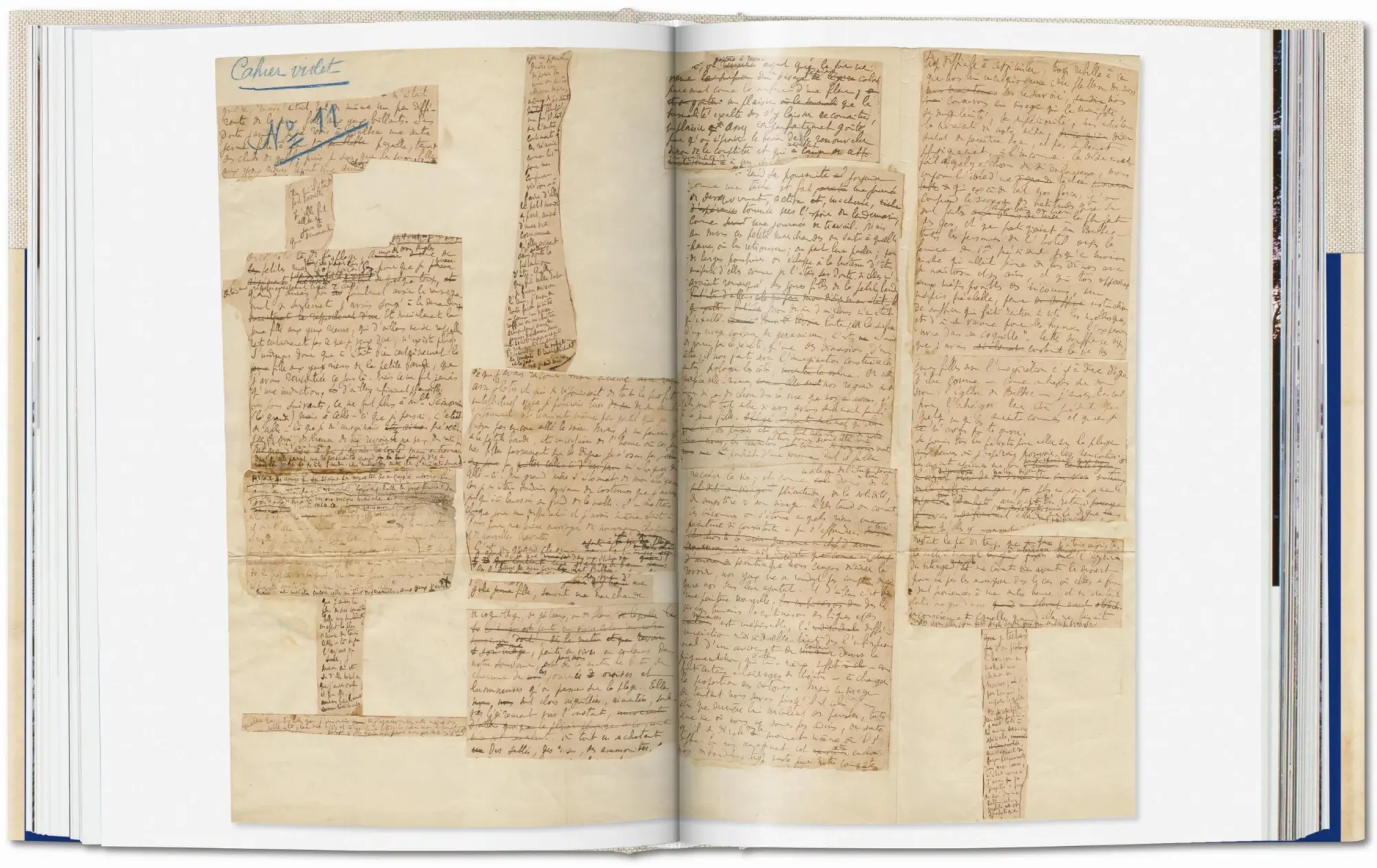 Bild: 9783836575195 | Zauber der Schrift. Sammlung Pedro Corrêa do Lago | Christine Nelson