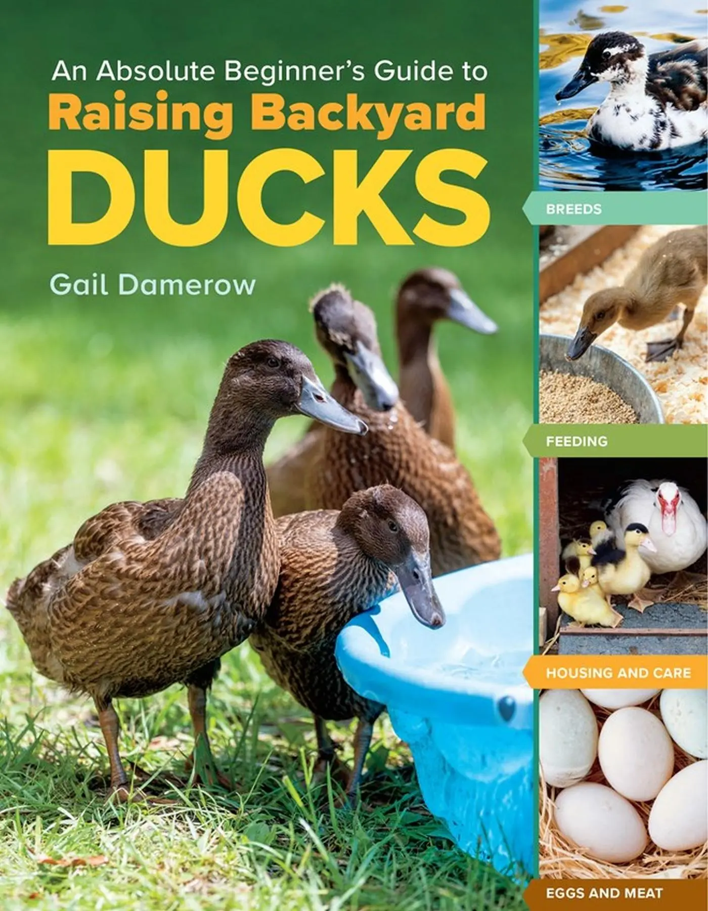 Cover: 9781635865295 | An Absolute Beginner's Guide to Raising Backyard Ducks | Gail Damerow