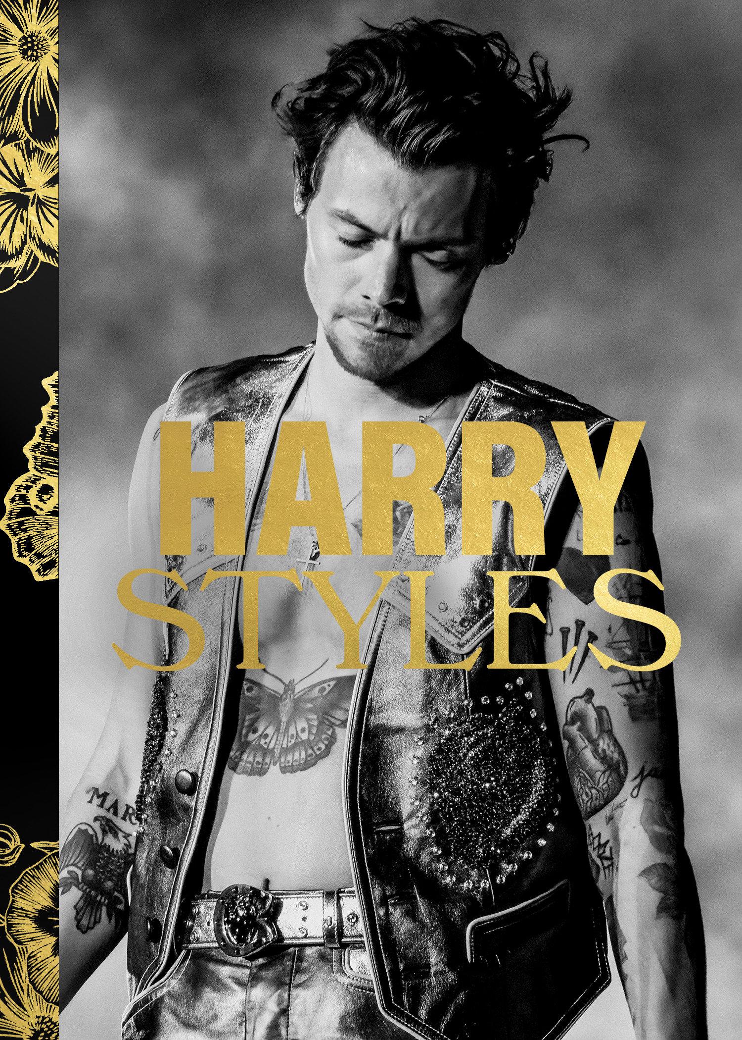 Cover: 9781958395295 | Harry Styles | Alex Bilmes | Buch | Spotlight on a Legend | Englisch