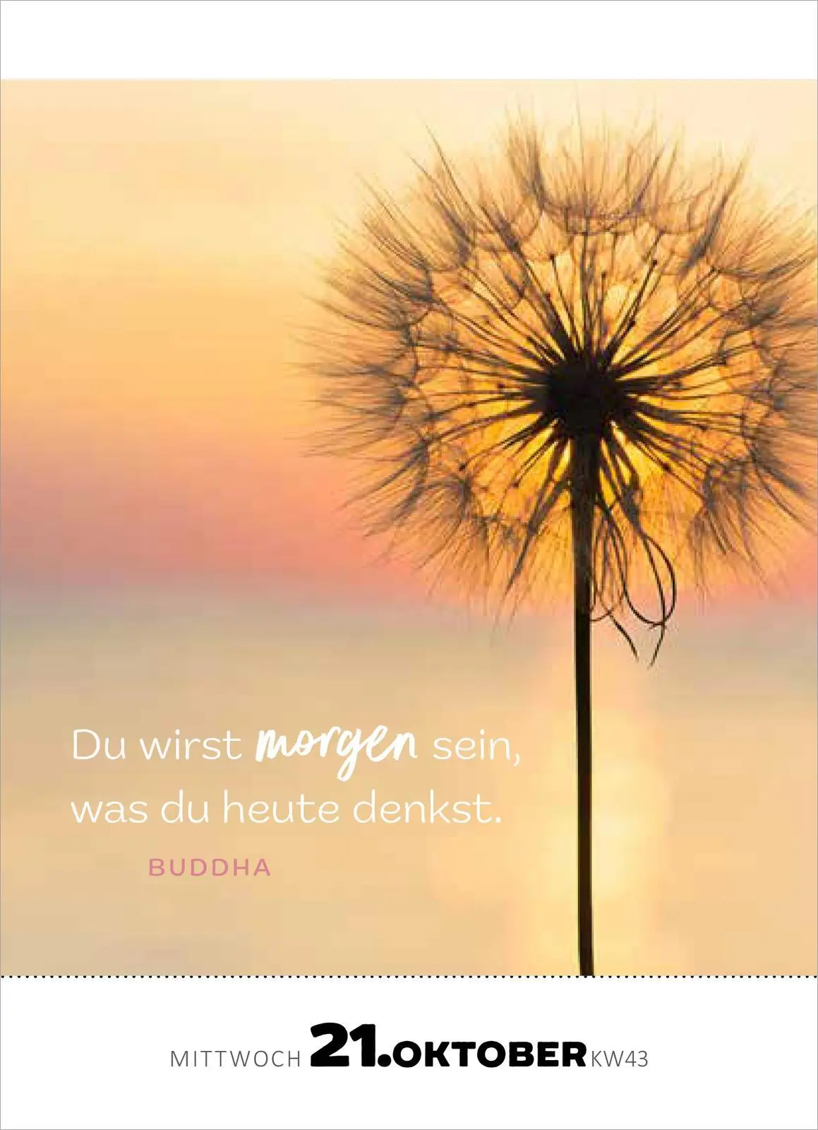 Bild: 4014489135395 | Abreißkalender Achtsamkeit für dich 2026 | 365 Inspirationen für 2024