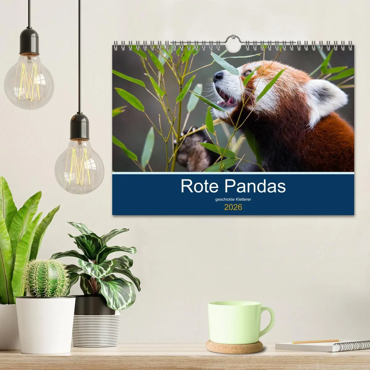 Bild: 9783457835395 | Rote Pandas - geschickte Kletterer (Wandkalender 2026 DIN A4 quer),...