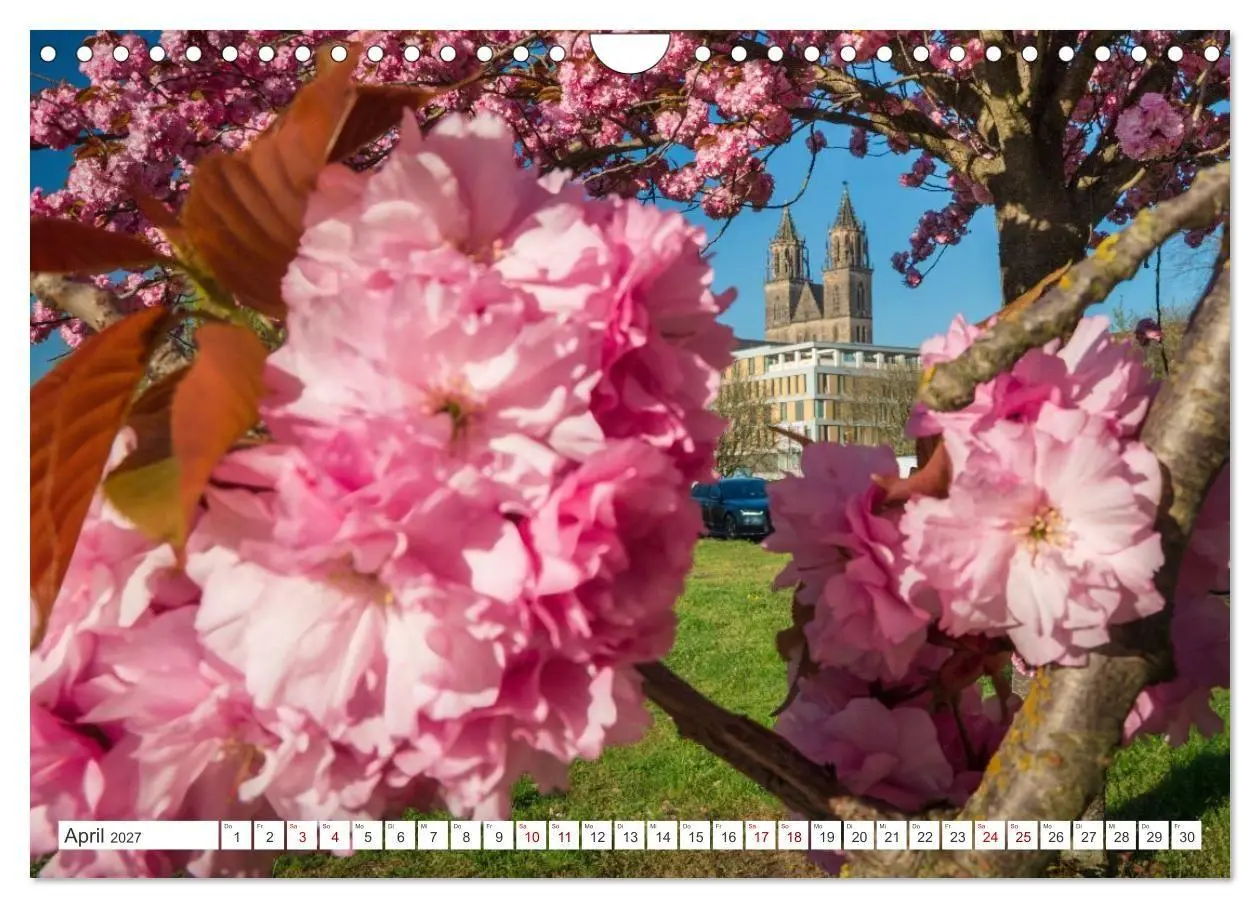 Bild: 9783516785395 | Domperspektiven: Magdeburger Dom - Neu gesehen 2027 (Wandkalender...