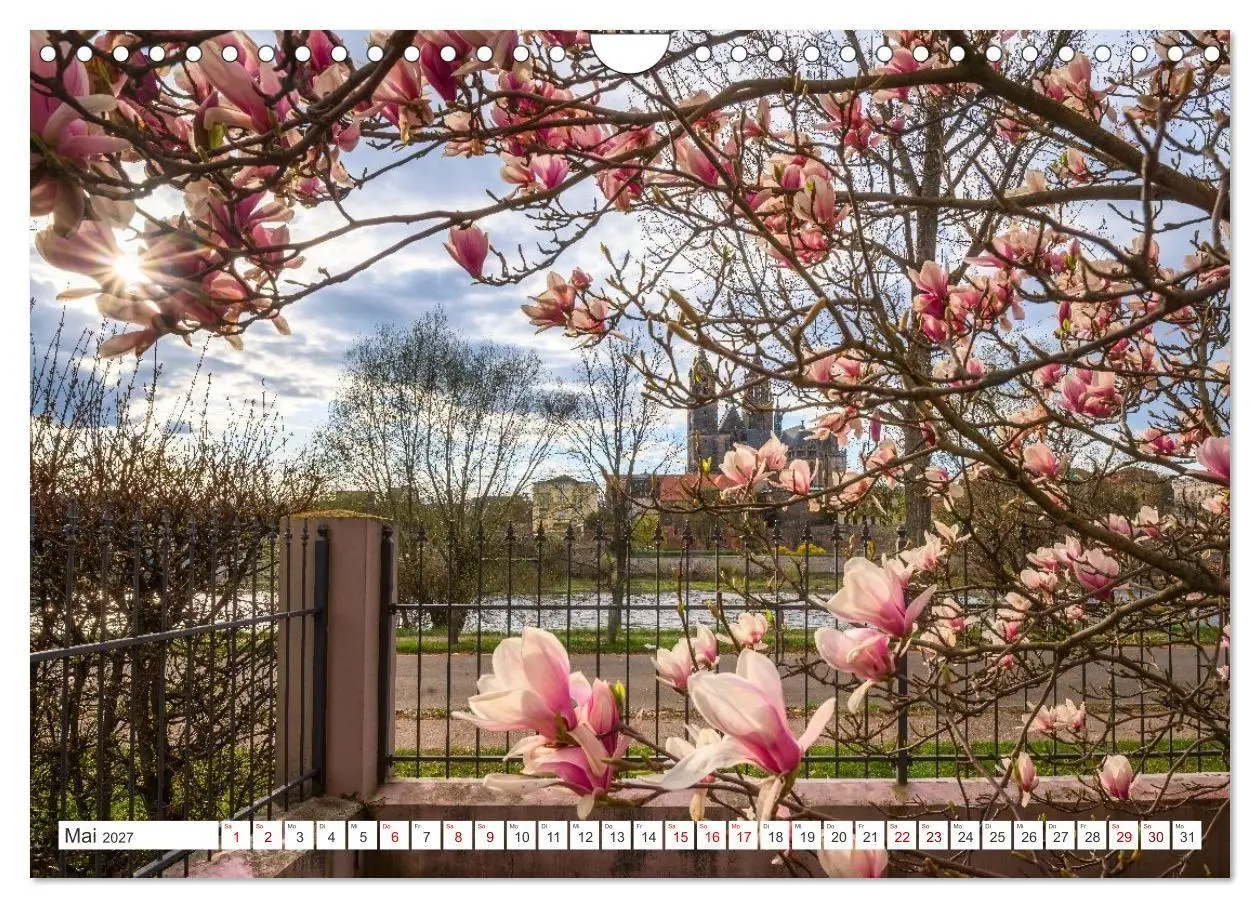 Bild: 9783516785395 | Domperspektiven: Magdeburger Dom - Neu gesehen 2027 (Wandkalender...