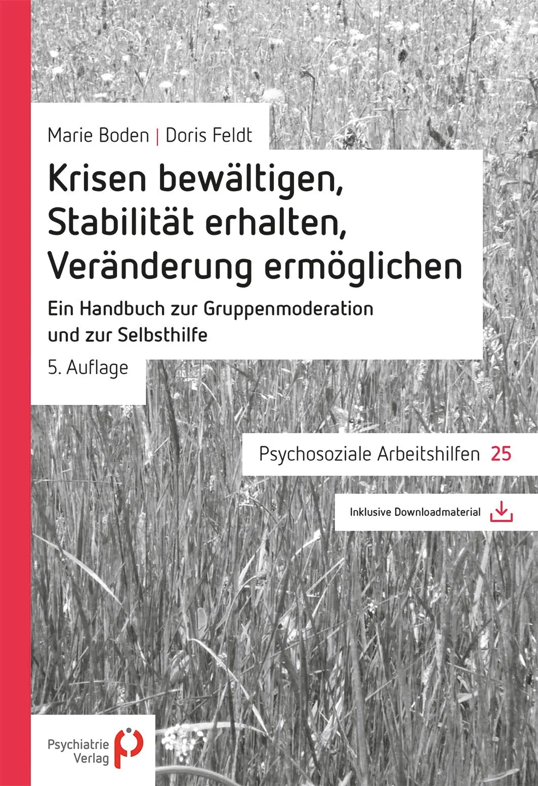 Cover: 9783884145395 | Krisen bewältigen, Stabilität erhalten, Veränderung ermöglichen | 2012