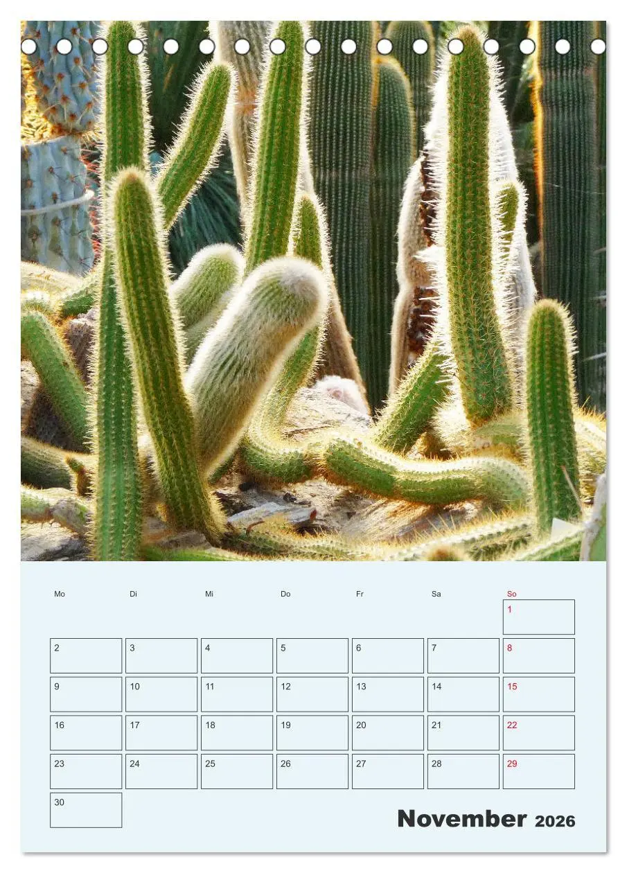 Bild: 9783516395495 | Wehrhafte Sukkulenten (Tischkalender 2026 DIN A5 hoch), CALVENDO...