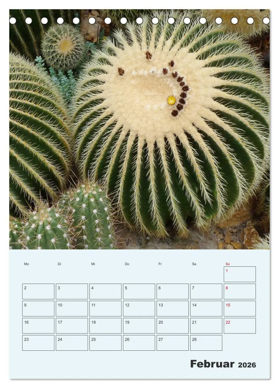 Bild: 9783516395495 | Wehrhafte Sukkulenten (Tischkalender 2026 DIN A5 hoch), CALVENDO...