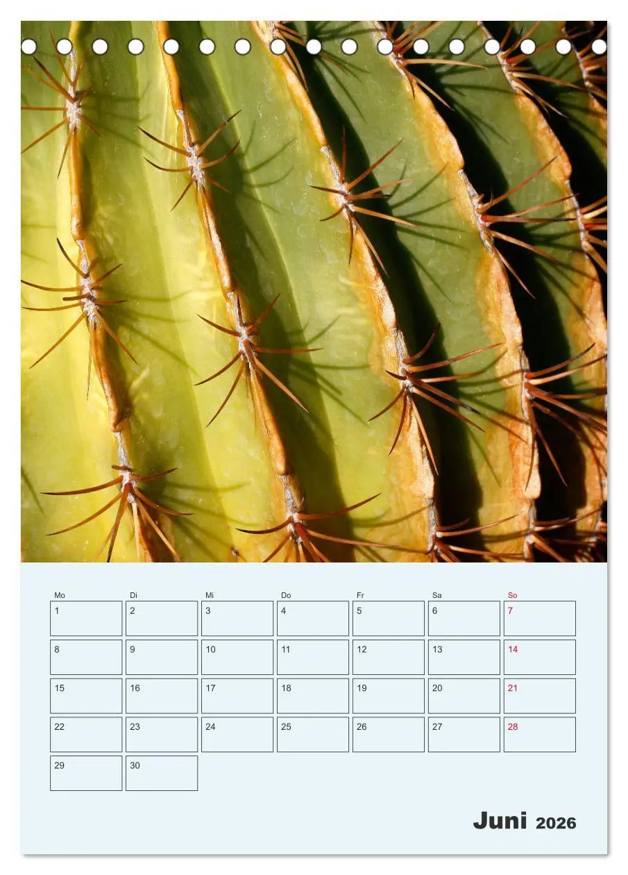 Bild: 9783516395495 | Wehrhafte Sukkulenten (Tischkalender 2026 DIN A5 hoch), CALVENDO...