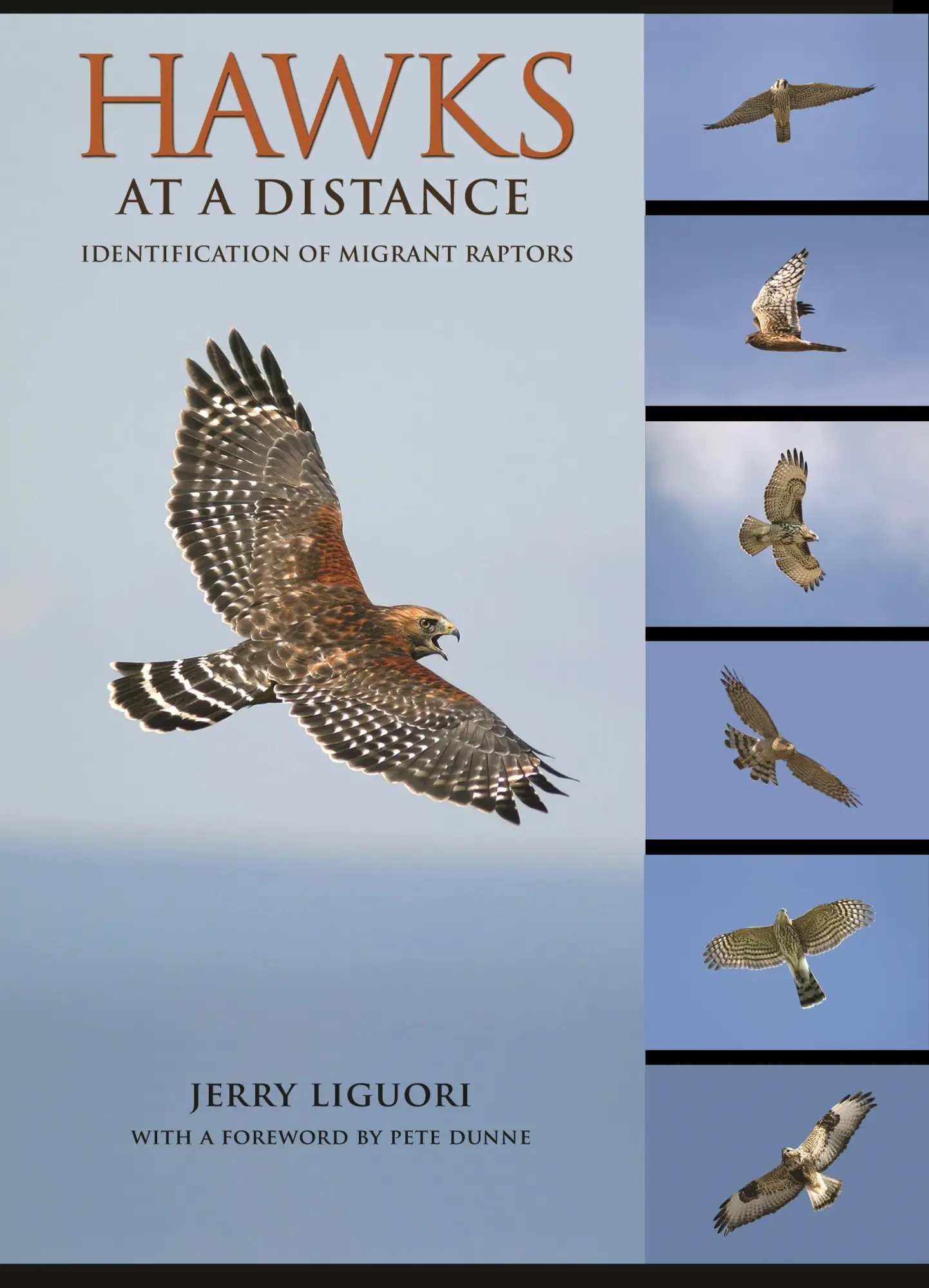 Cover: 9780691135595 | Hawks at a Distance | Identification of Migrant Raptors | Liguori