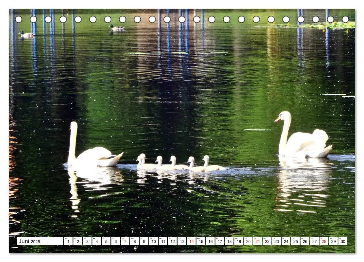 Bild: 9783457745595 | Oranienburg - Kleinod an der Havel (Tischkalender 2026 DIN A5...