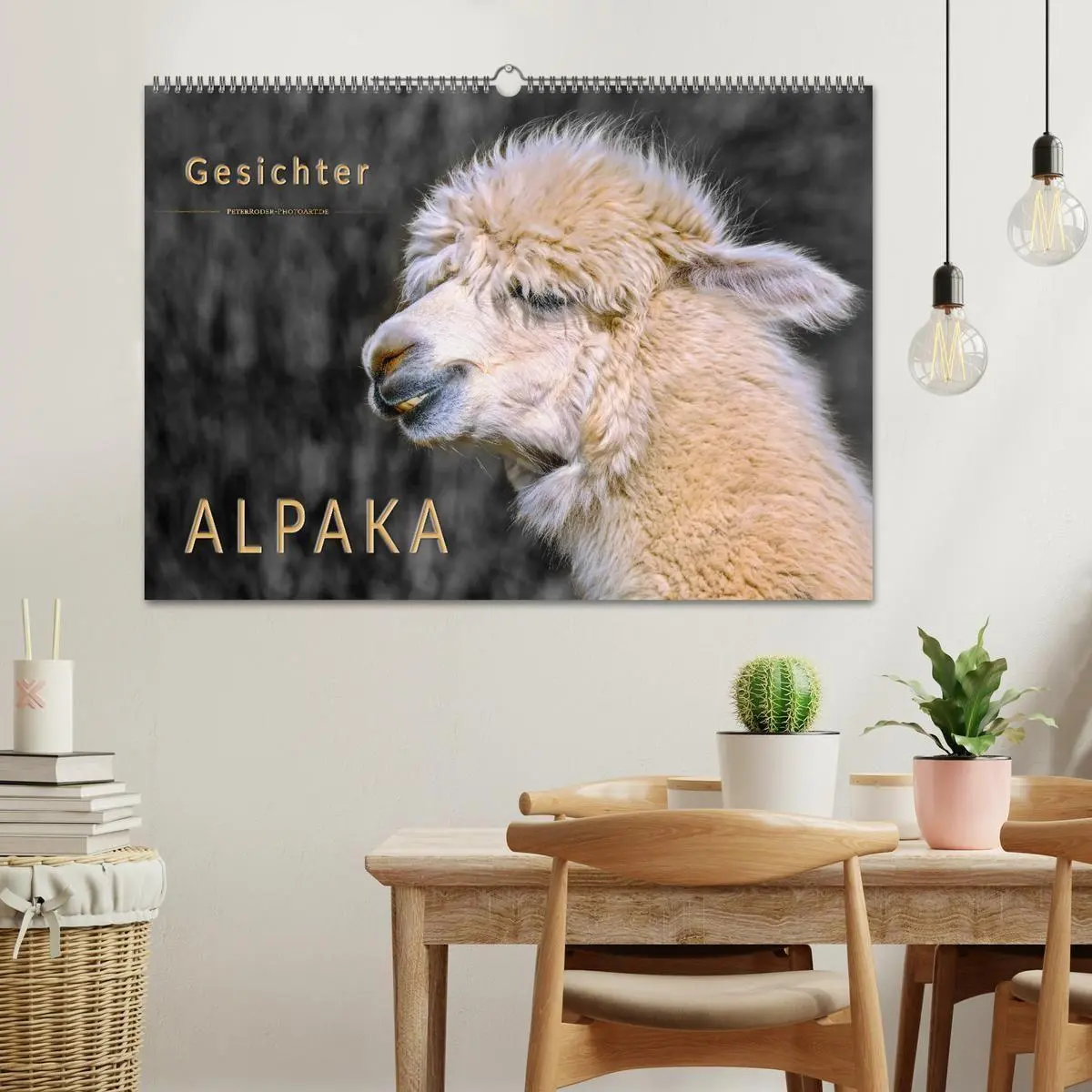 Bild: 9783569785595 | Alpaka Gesichter (Wandkalender 2027 DIN A2 quer), CALVENDO...