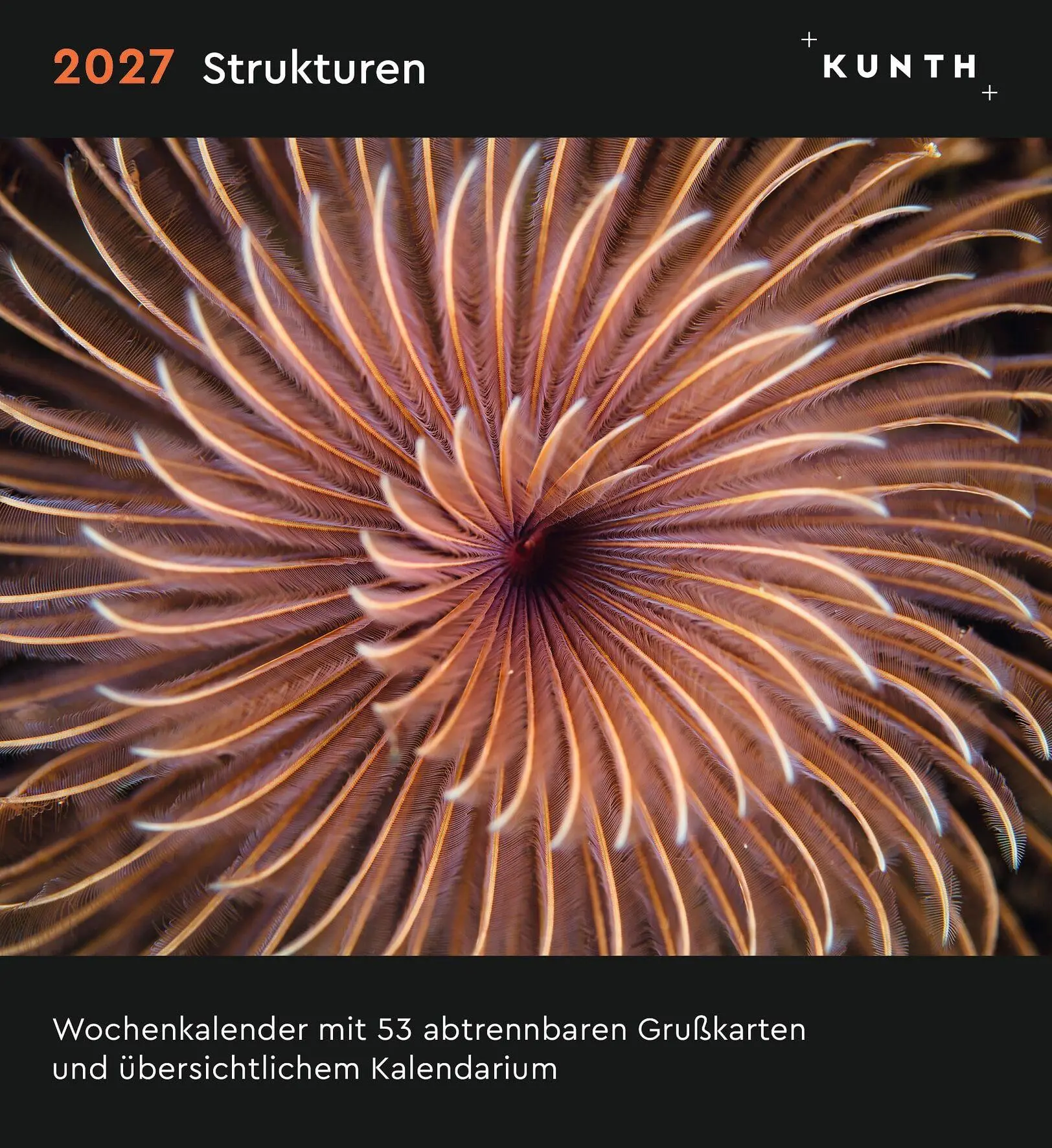 Cover: 9783965915695 | Strukturen - KUNTH Postkartenkalender 2027 | Kalender | 53 S. | 2027