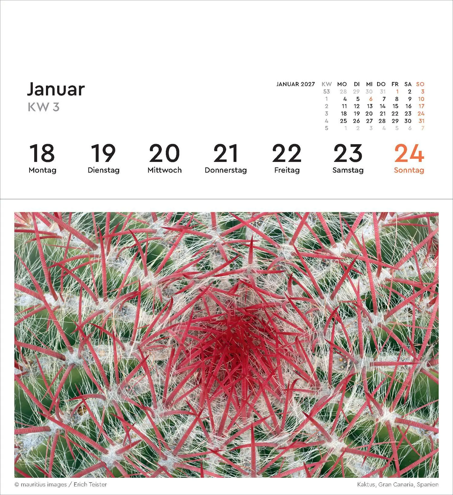 Bild: 9783965915695 | Strukturen - KUNTH Postkartenkalender 2027 | Kalender | 53 S. | 2027