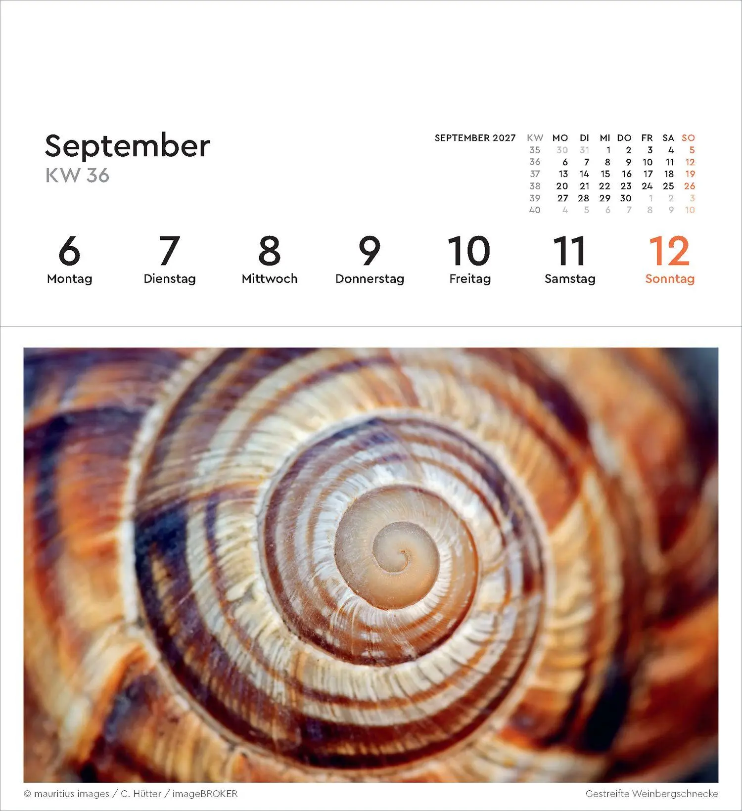 Bild: 9783965915695 | Strukturen - KUNTH Postkartenkalender 2027 | Kalender | 53 S. | 2027