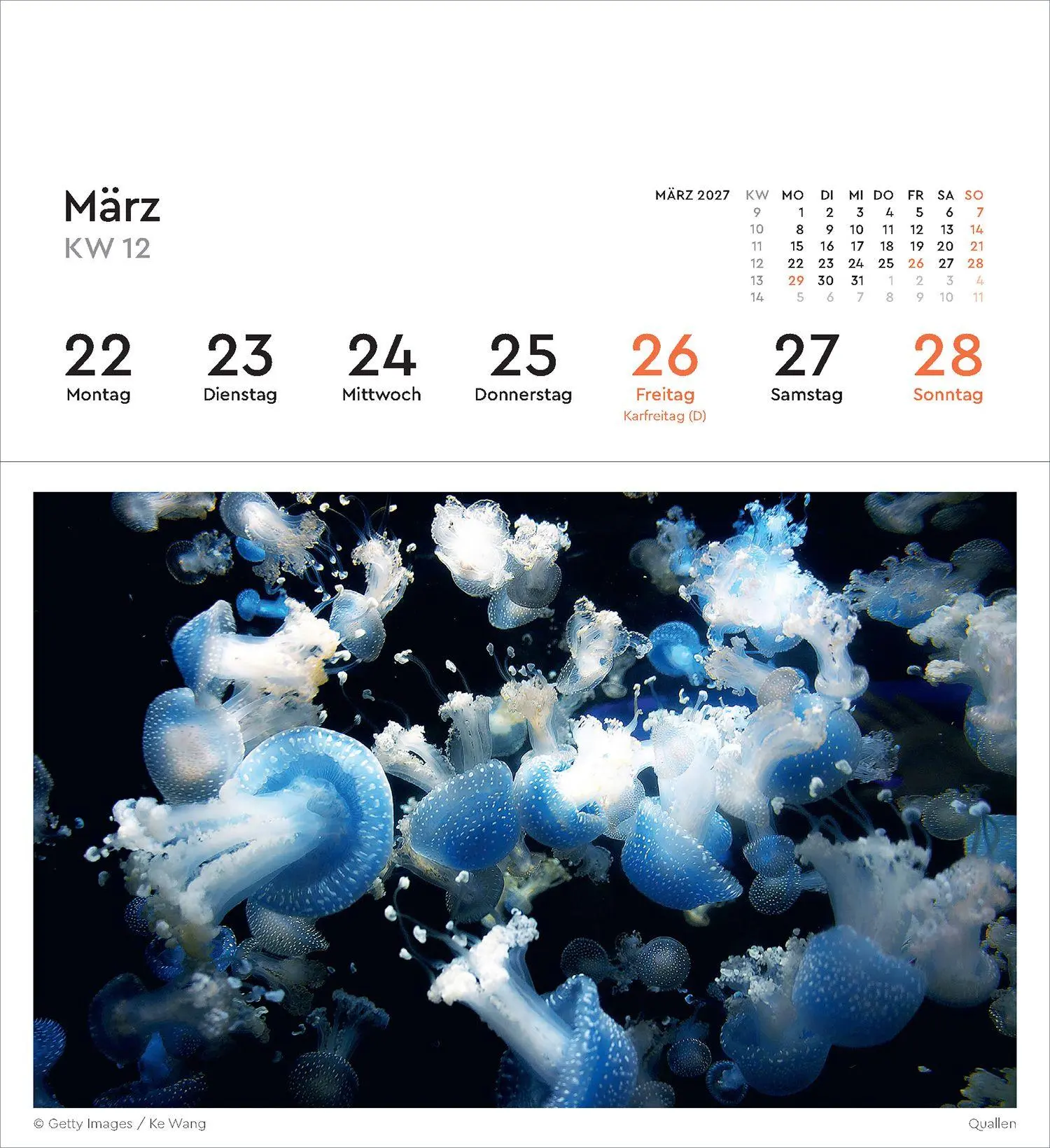 Bild: 9783965915695 | Strukturen - KUNTH Postkartenkalender 2027 | Kalender | 53 S. | 2027