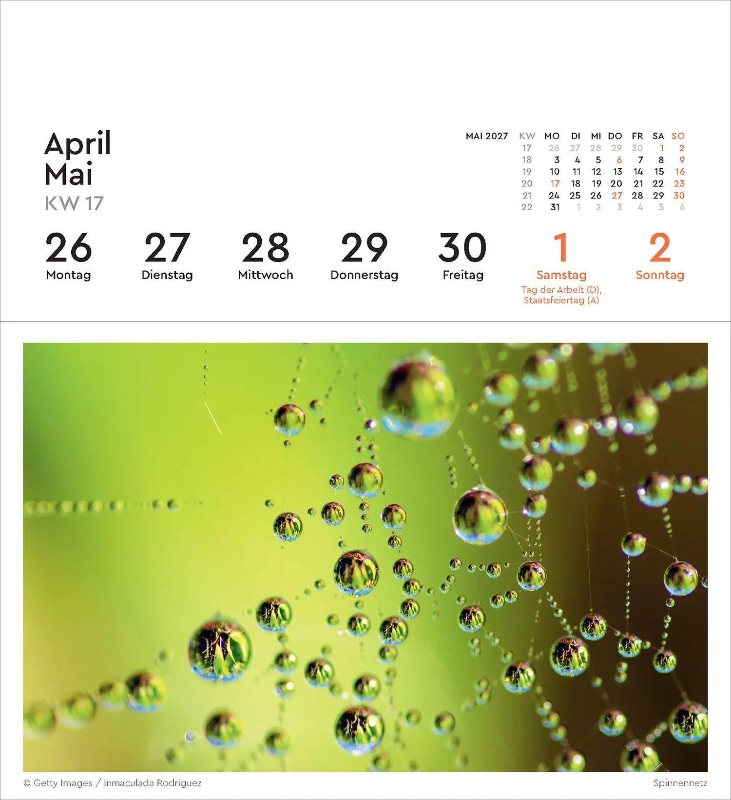 Bild: 9783965915695 | Strukturen - KUNTH Postkartenkalender 2027 | Kalender | 53 S. | 2027