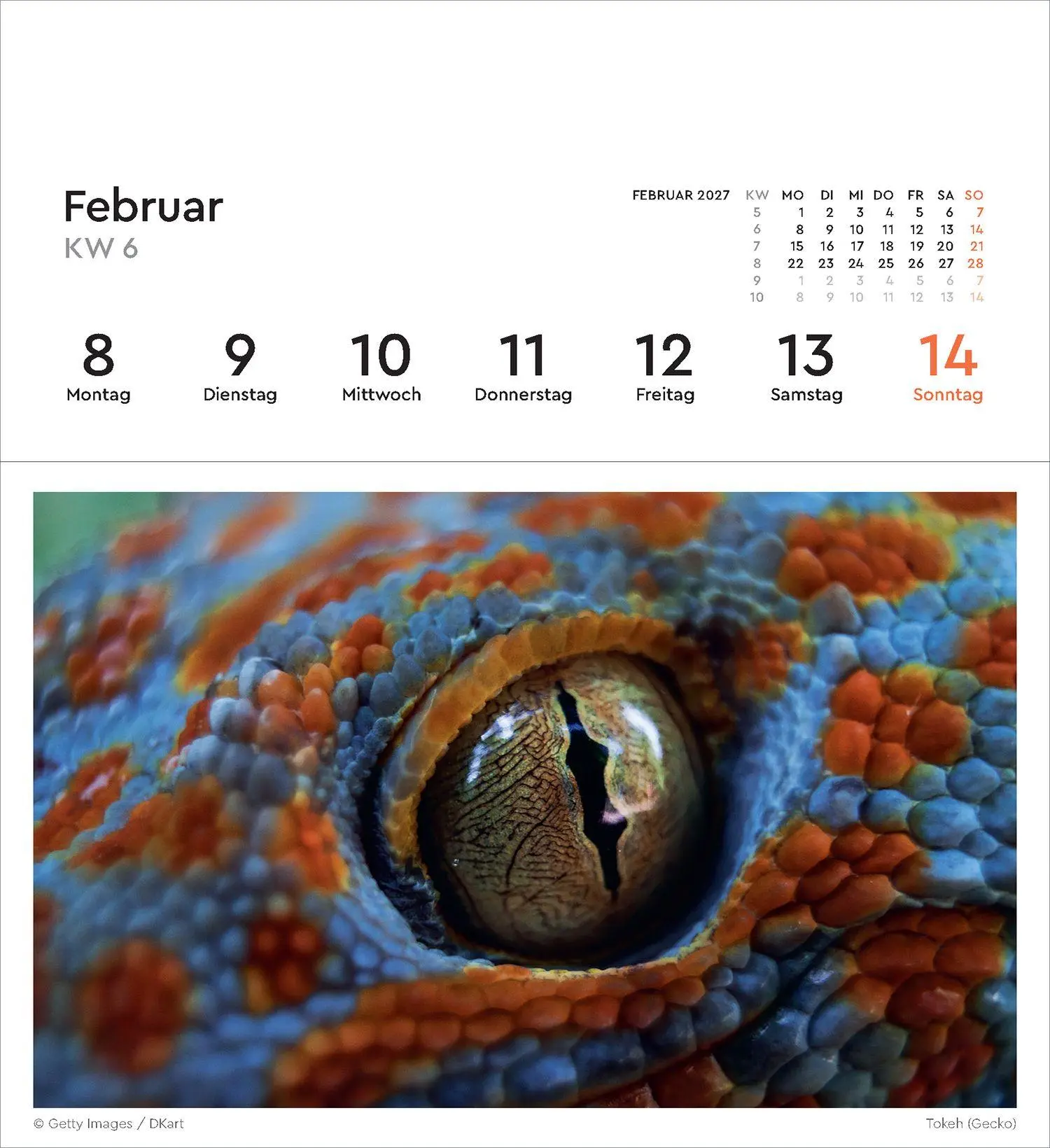 Bild: 9783965915695 | Strukturen - KUNTH Postkartenkalender 2027 | Kalender | 53 S. | 2027