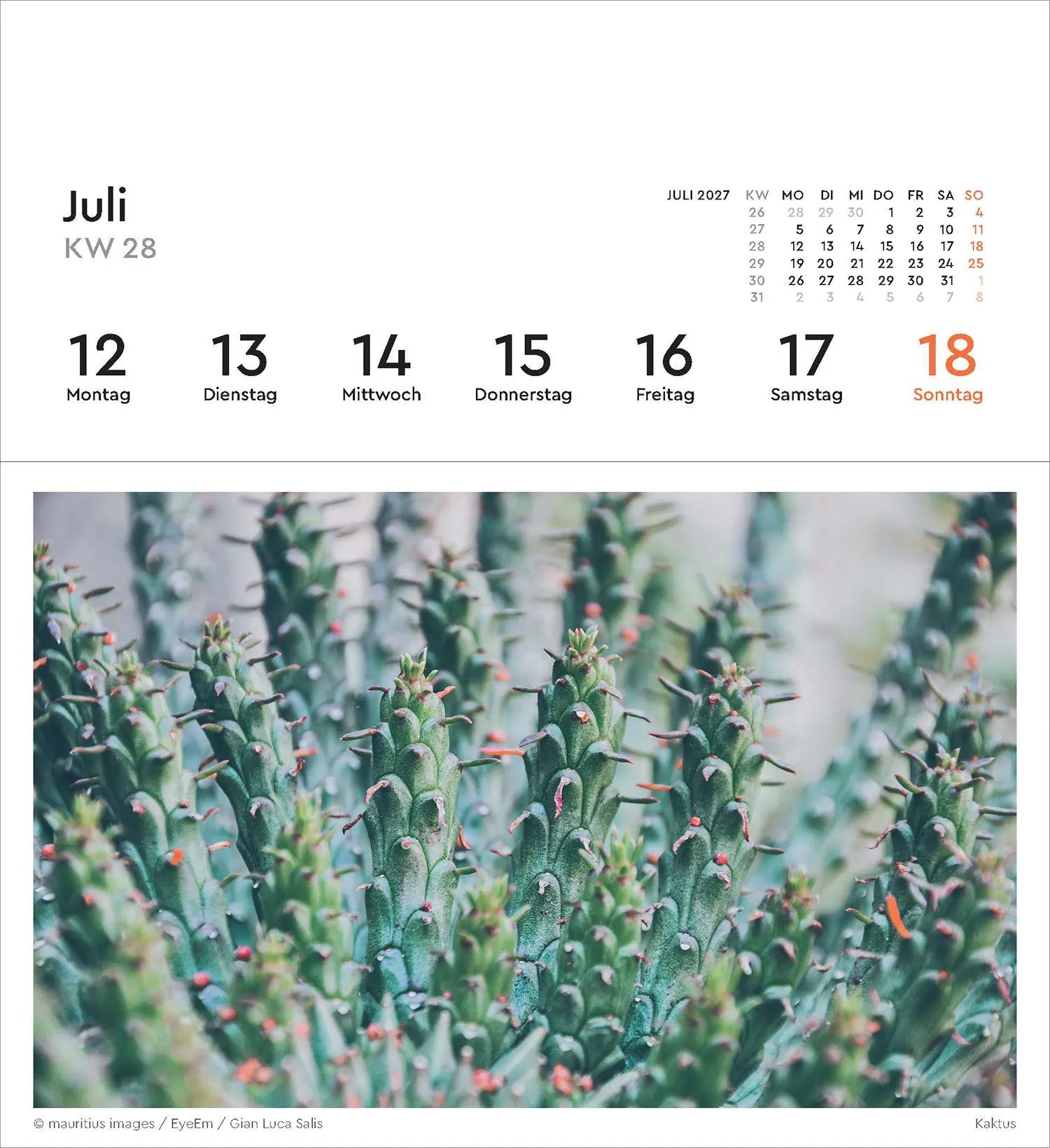 Bild: 9783965915695 | Strukturen - KUNTH Postkartenkalender 2027 | Kalender | 53 S. | 2027