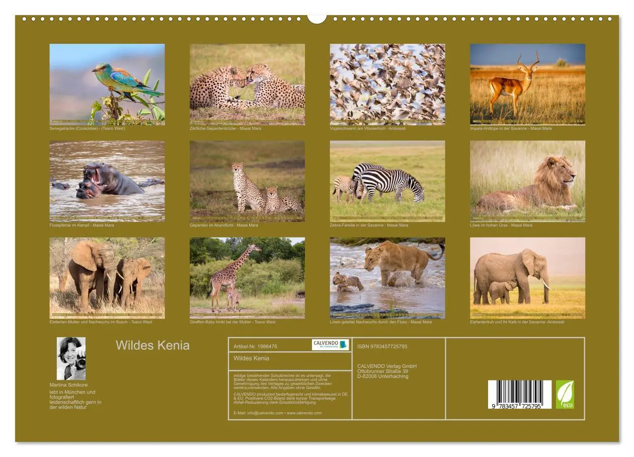 Bild: 9783457725795 | Wildes Kenia (hochwertiger Premium Wandkalender 2026 DIN A2 quer),...