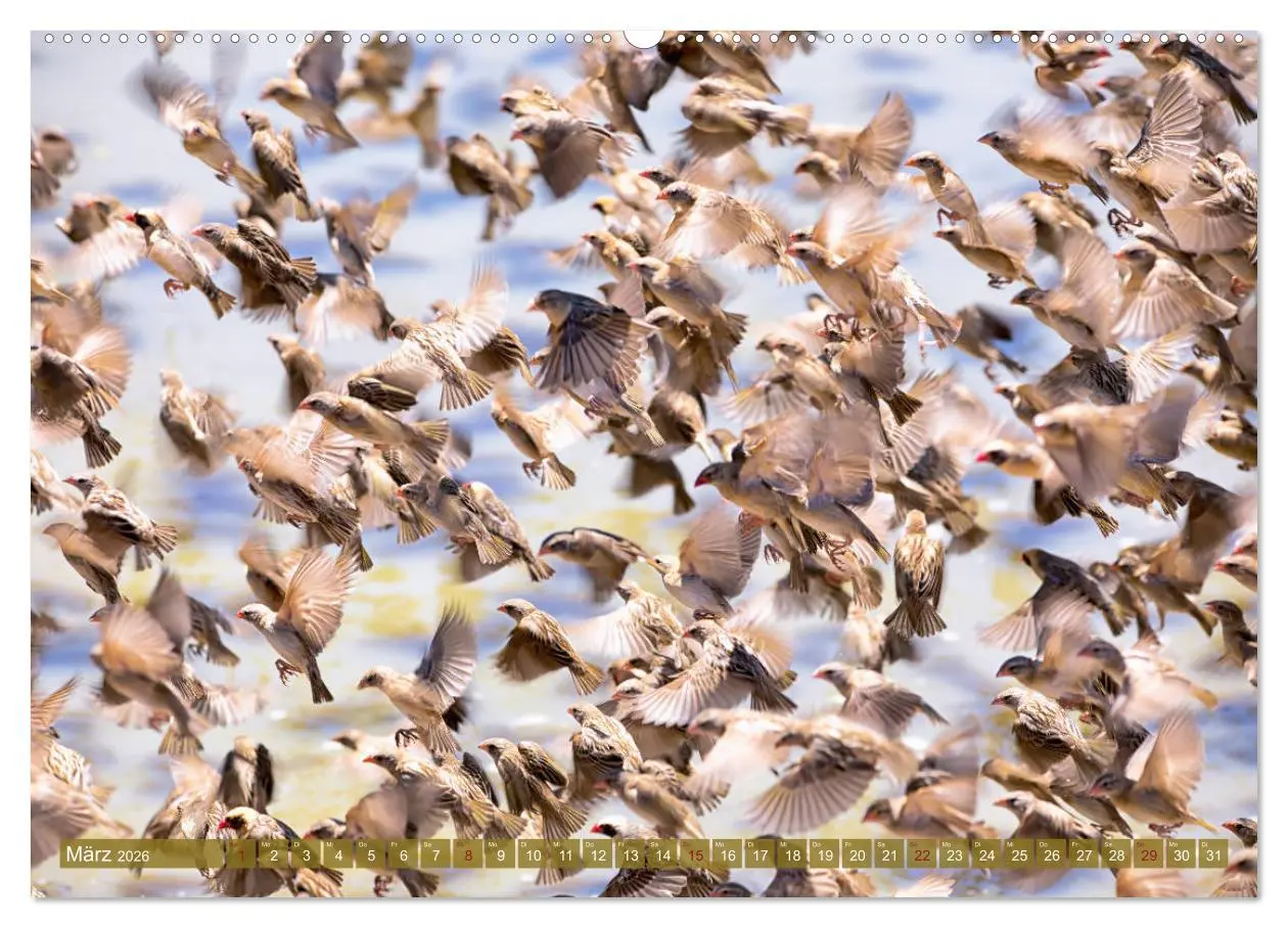Bild: 9783457725795 | Wildes Kenia (hochwertiger Premium Wandkalender 2026 DIN A2 quer),...