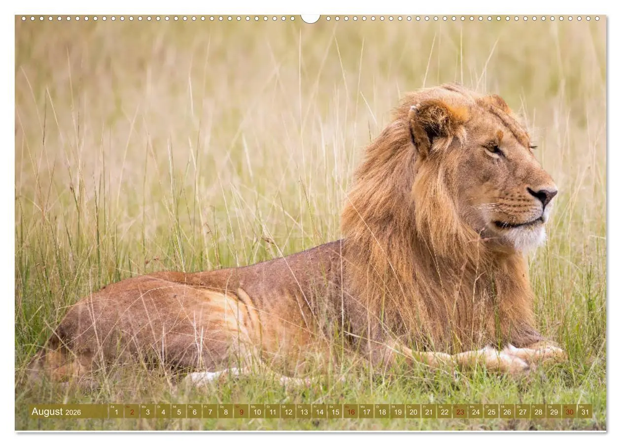 Bild: 9783457725795 | Wildes Kenia (hochwertiger Premium Wandkalender 2026 DIN A2 quer),...