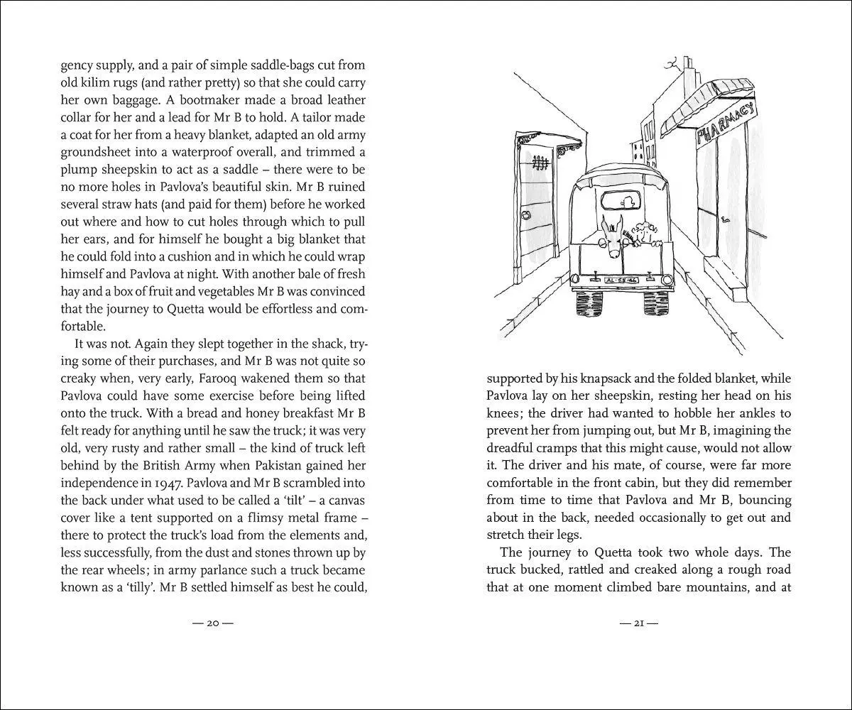 Bild: 9783458645795 | The White Umbrella | Brian Sewell | Buch | 160 S. | Englisch | 2026