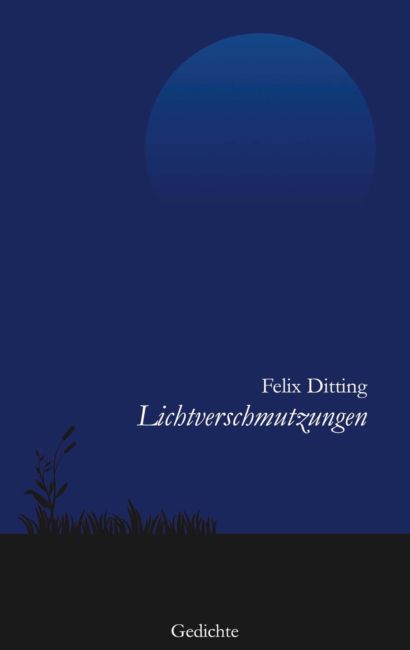 Cover: 9783753425795 | Lichtverschmutzungen | Felix Ditting | Taschenbuch | Paperback | 90 S.