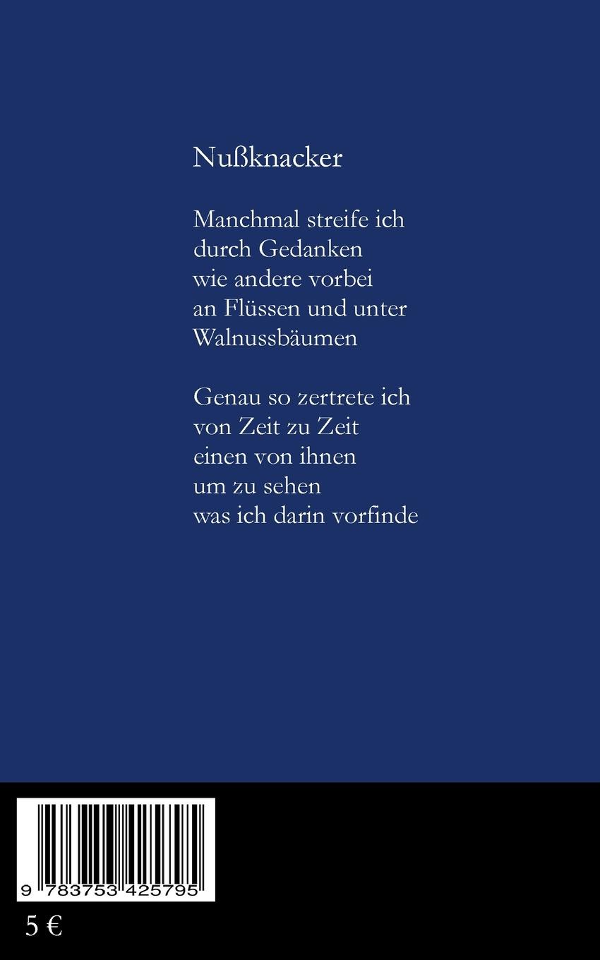 Rückseite: 9783753425795 | Lichtverschmutzungen | Felix Ditting | Taschenbuch | Paperback | 90 S.