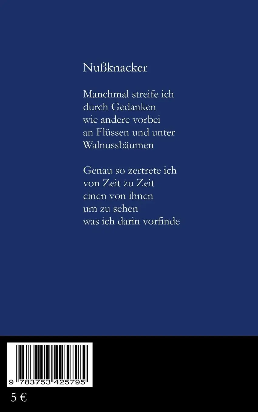 Rückseite: 9783753425795 | Lichtverschmutzungen | Felix Ditting | Taschenbuch | 90 S. | Deutsch