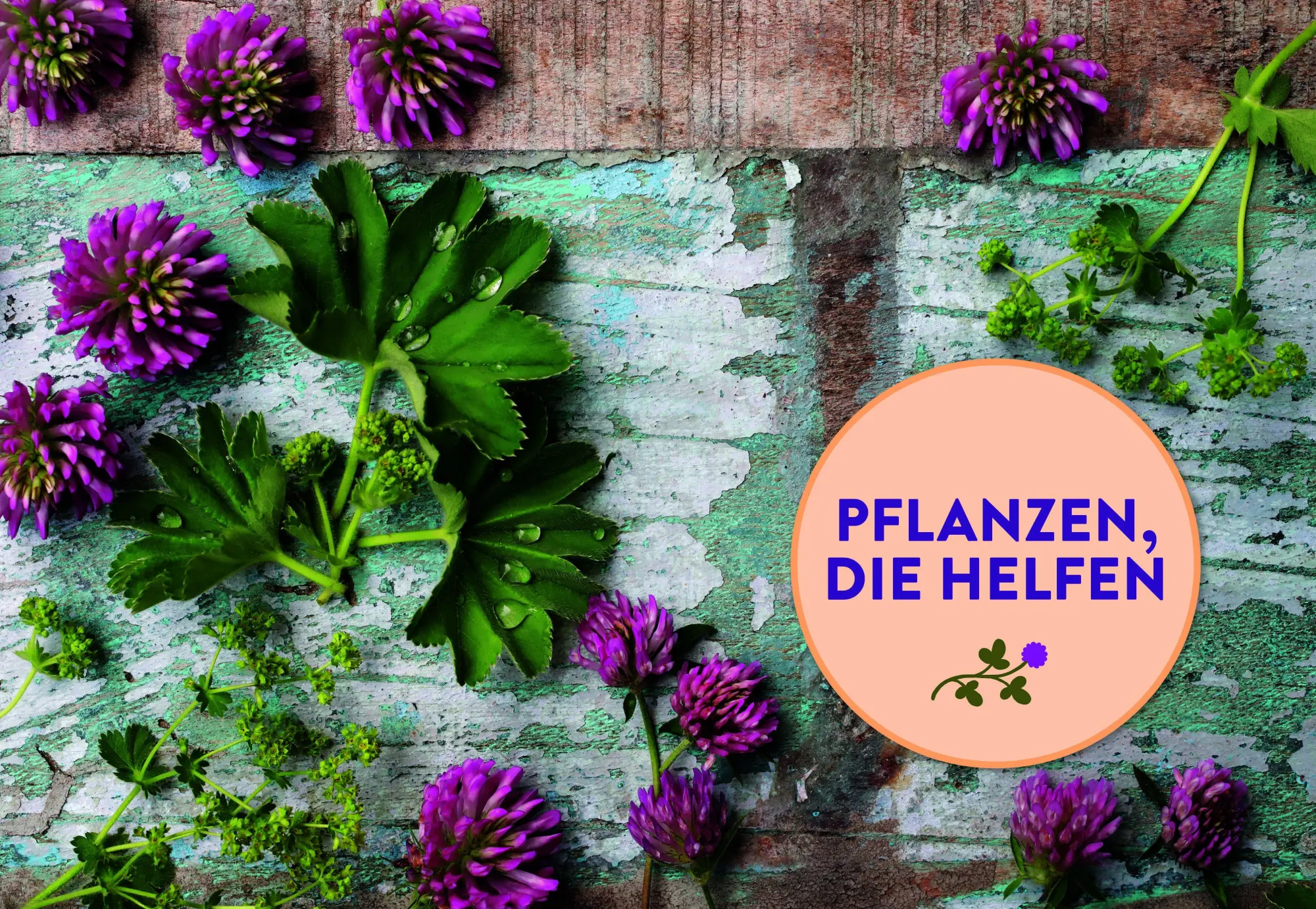 Bild: 9783818625795 | Entspannte Wechseljahre | Sonja Bienemann | Taschenbuch | 176 S.