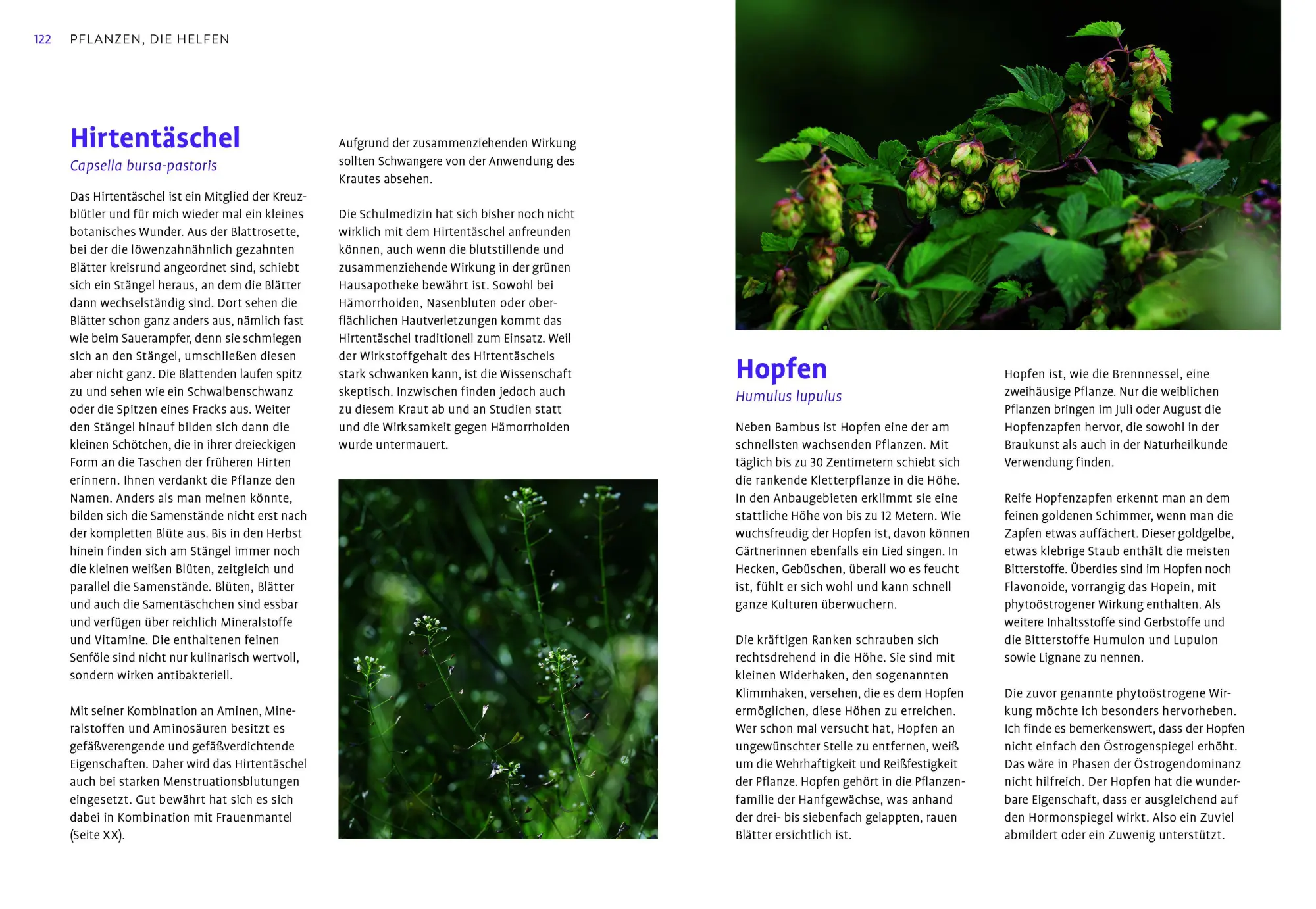 Bild: 9783818625795 | Entspannte Wechseljahre | Sonja Bienemann | Taschenbuch | 176 S.