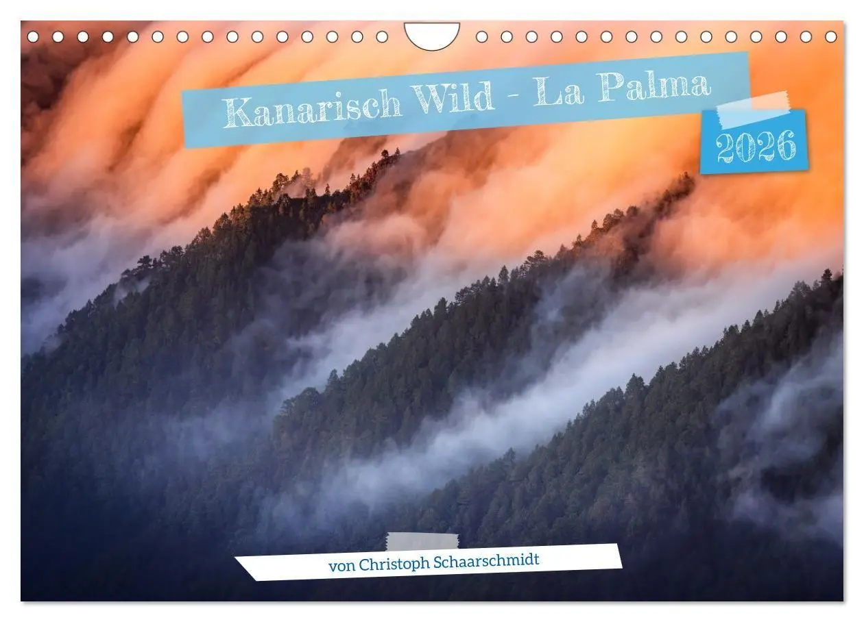 Cover: 9783516735895 | Kanarisch Wild - La Palma (Wandkalender 2026 DIN A4 quer), CALVENDO...