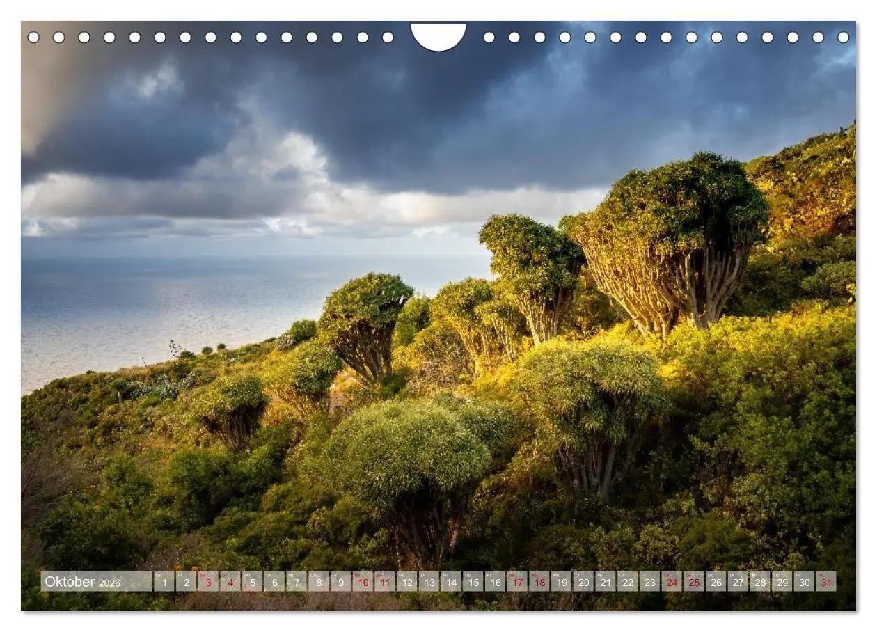 Bild: 9783516735895 | Kanarisch Wild - La Palma (Wandkalender 2026 DIN A4 quer), CALVENDO...
