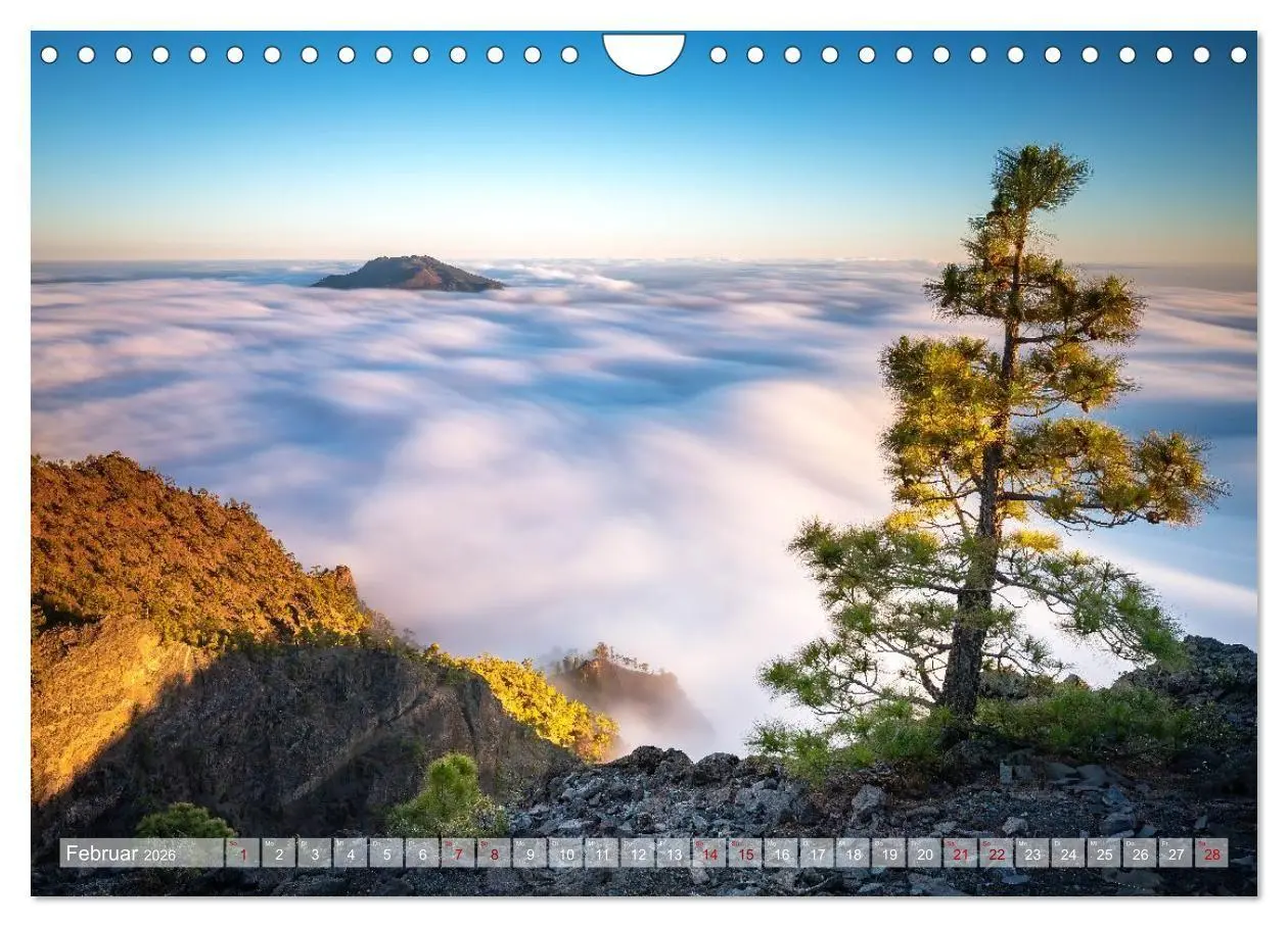 Bild: 9783516735895 | Kanarisch Wild - La Palma (Wandkalender 2026 DIN A4 quer), CALVENDO...