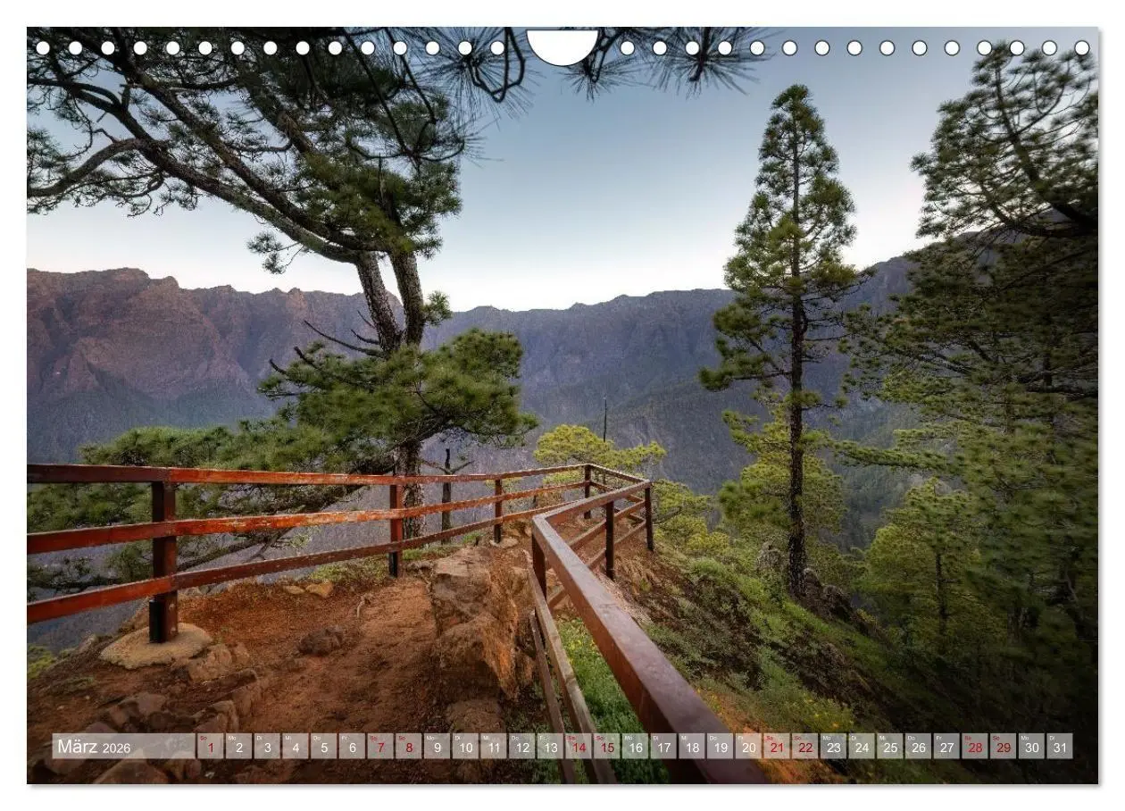 Bild: 9783516735895 | Kanarisch Wild - La Palma (Wandkalender 2026 DIN A4 quer), CALVENDO...