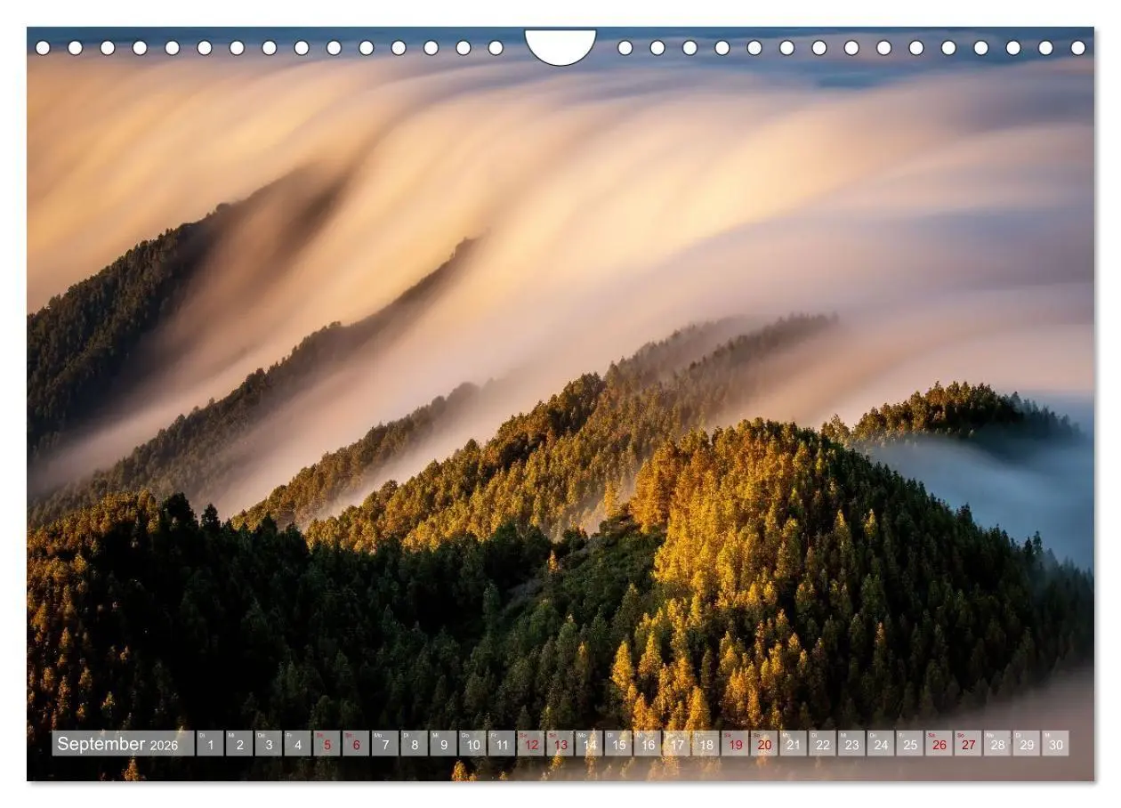Bild: 9783516735895 | Kanarisch Wild - La Palma (Wandkalender 2026 DIN A4 quer), CALVENDO...