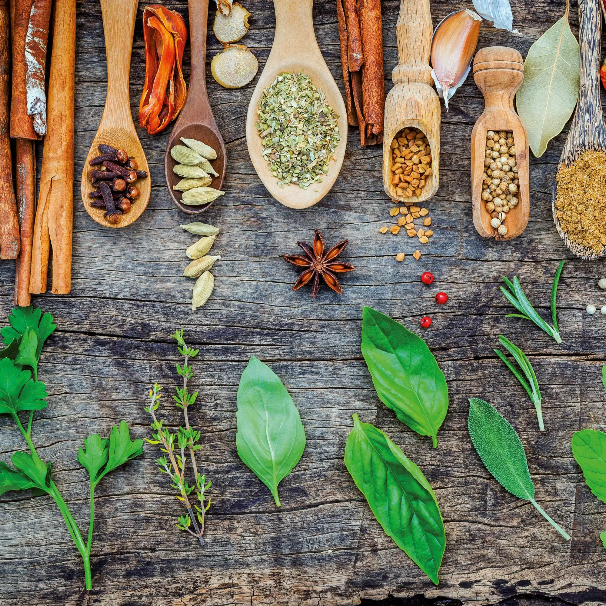 Bild: 9783959295895 | Speisen und Gewürze/Food &amp; Spices 2026 | Kalender 2026 | Kalender