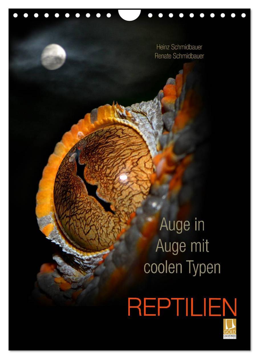 Cover: 9783457015995 | Auge in Auge mit coolen Typen - REPTILIEN (Wandkalender 2025 DIN A4...