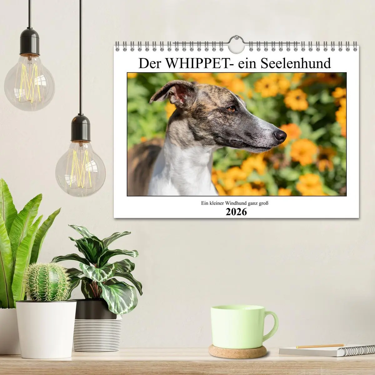 Bild: 9783457565995 | Der Whippet - ein Seelenhund (Wandkalender 2026 DIN A4 quer),...