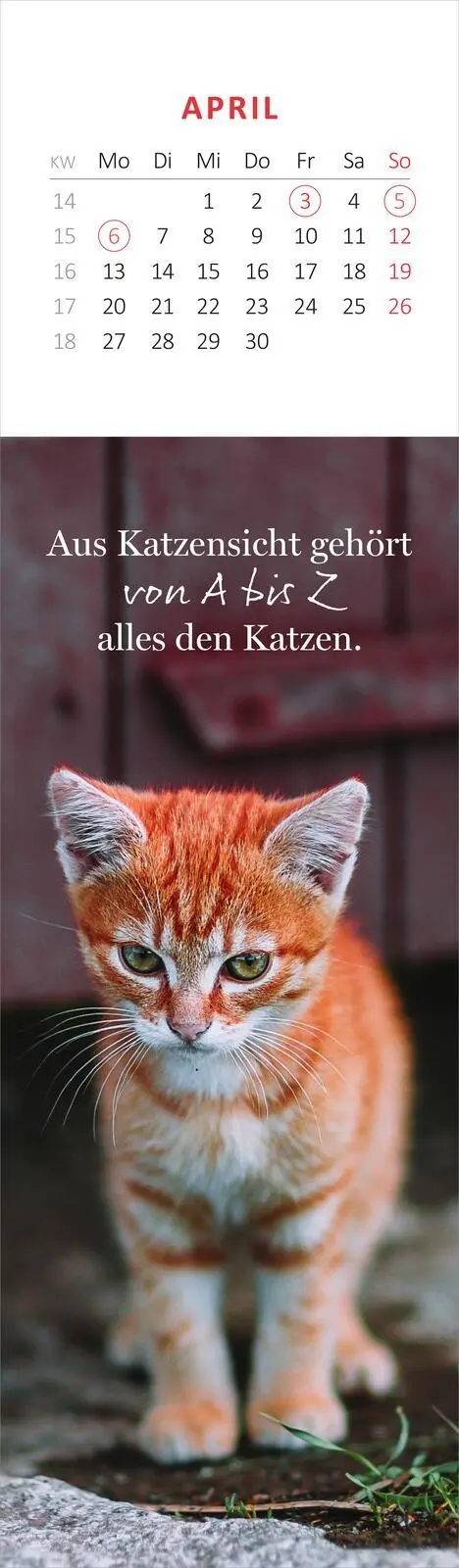 Bild: 4014489136095 | Lesezeichenkalender Katzenglück 2026 | Kalender | 26 S. | Deutsch