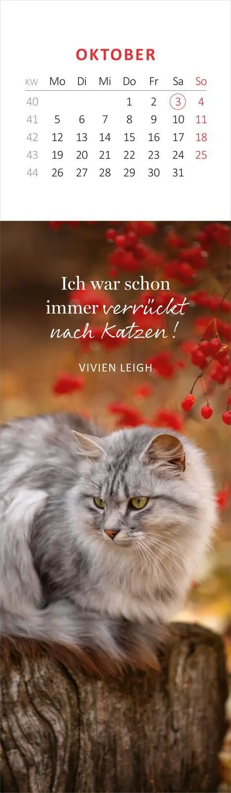 Bild: 4014489136095 | Lesezeichenkalender Katzenglück 2026 | Kalender | 26 S. | Deutsch