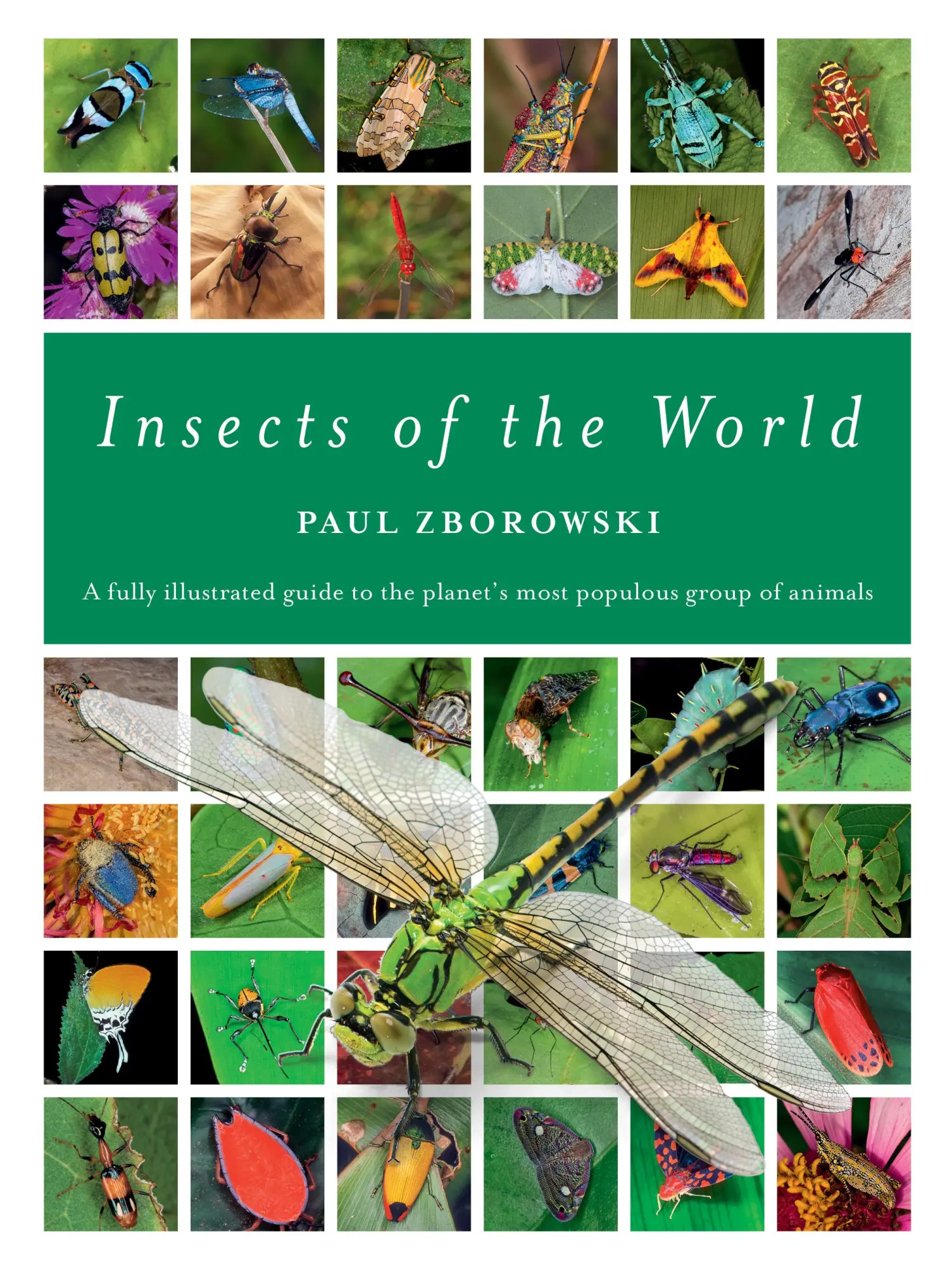 Cover: 9781925546095 | Insects of the World | Paul Zborowski | Buch | Gebunden | Englisch